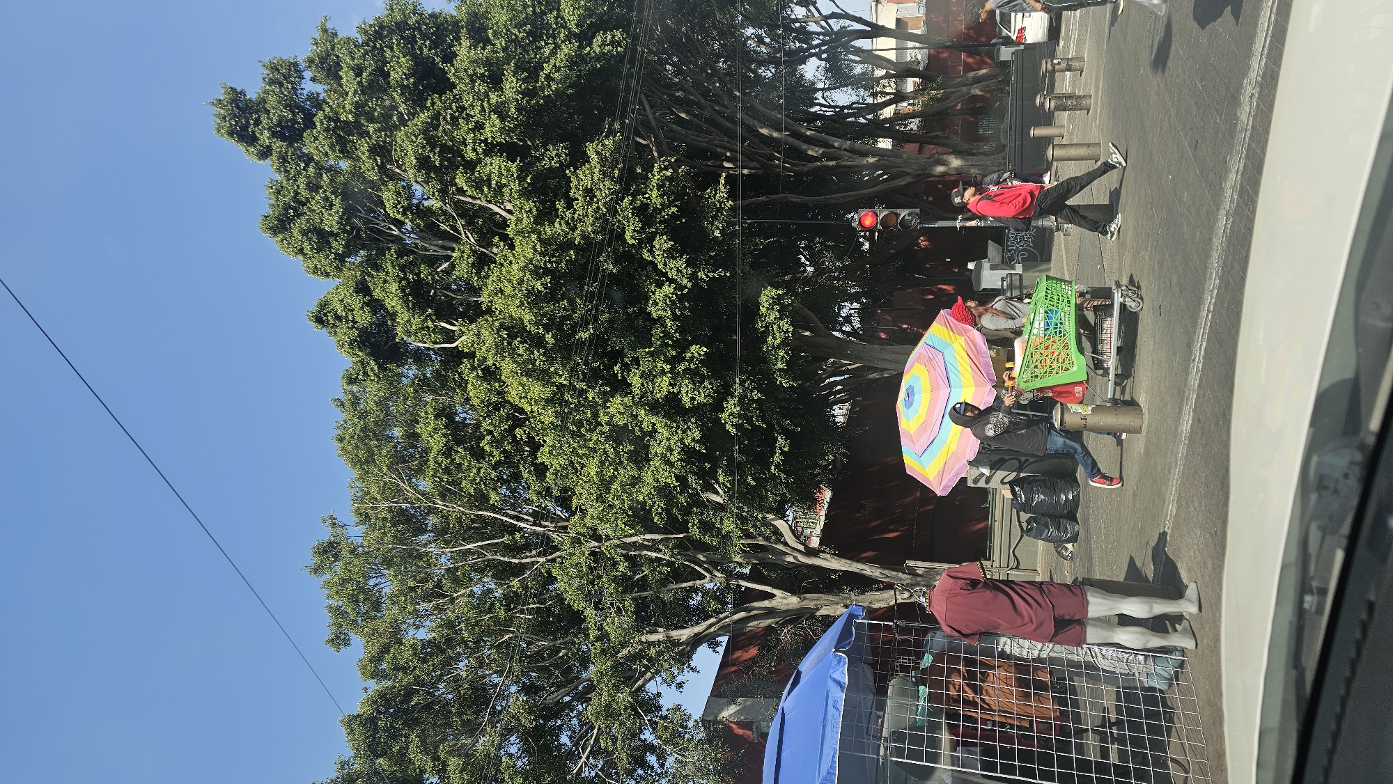 The image captures a vibrant street scene under a clear blue sky, likely in Puebla, Mexico, given the context. Large, mature trees with dense green foliage dominate the left side of the frame, their sturdy trunks and branches extending across the sidewalk and street. Sunlight bathes the scene, indicating daytime.
In the mid-ground, a lively street vending setup is visible. A person in a dark hoodie and jeans sits beneath a distinctive, brightly colored umbrella featuring bands of pink, yellow, blue, and green. Nearby, a person wearing a red hat is seated behind a green shopping cart, which is alongside another grey cart filled with items. Several black bags or bundles are stacked on the ground next to these carts, suggesting merchandise or belongings.
On the paved street, a person in a red hoodie and black pants walks past concrete bollards. A red traffic light with all three lights visible is illuminated, indicating a stop. Power lines stretch across the clear blue sky above the trees.
In the immediate foreground, part of a white vehicle suggests the perspective is from inside a car. A metal fence or grille runs along the bottom, and a blue canopy or tent material is partially visible, behind which stands a mannequin torso dressed in a burgundy shirt and white legs, further hinting at a market or retail display. No discernible text is visible in the image.