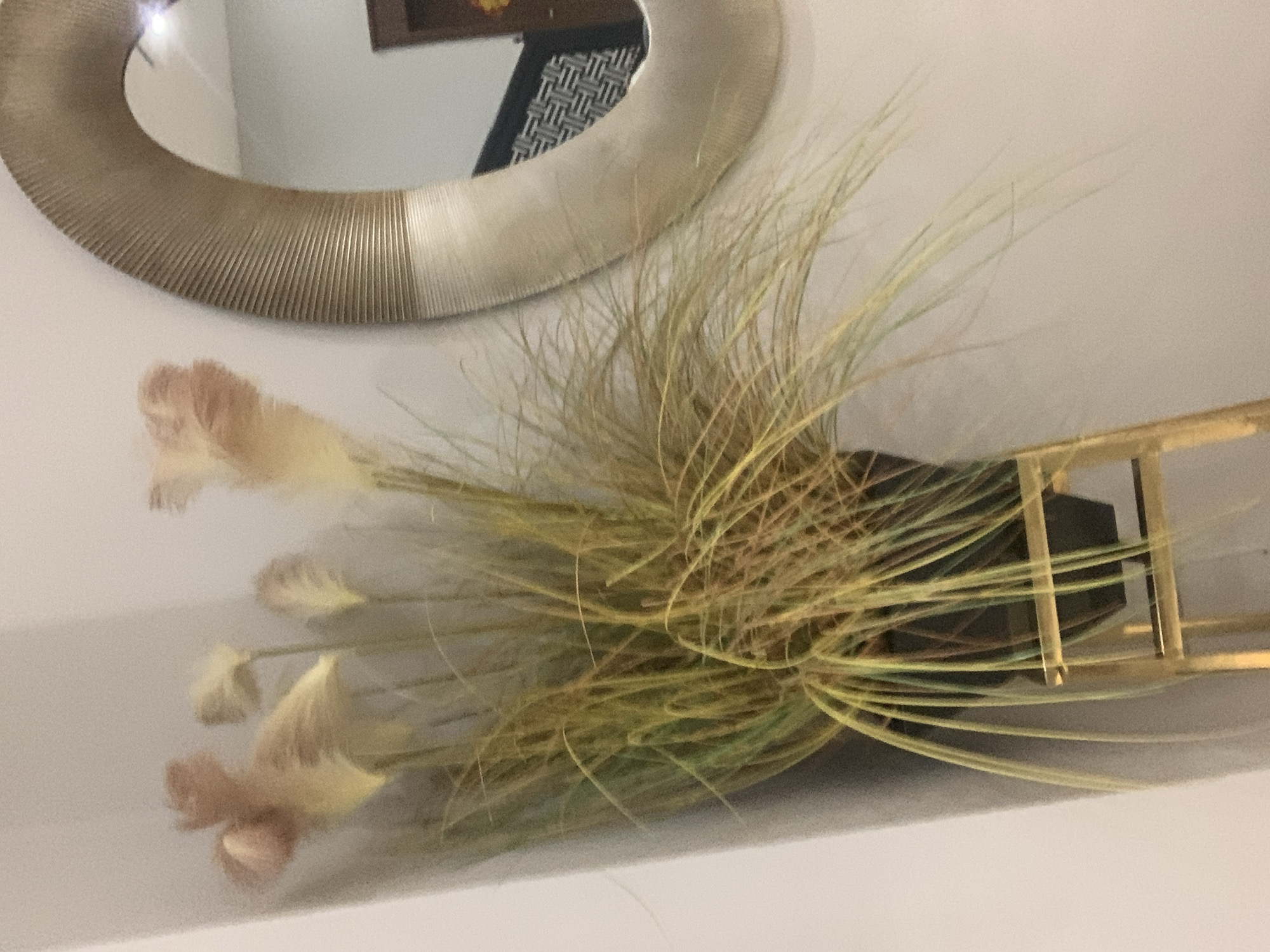 A decorative potted plant with tall, feathery plumes and long, thin leaves is positioned in a gold plant stand. The plant is located in an indoor setting, next to a wall with a textured, oval-shaped mirror. The mirror's frame appears to be made of a metallic material with a ribbed texture. The background wall is a neutral, light color. The scene is illuminated by soft, ambient light, casting gentle shadows.