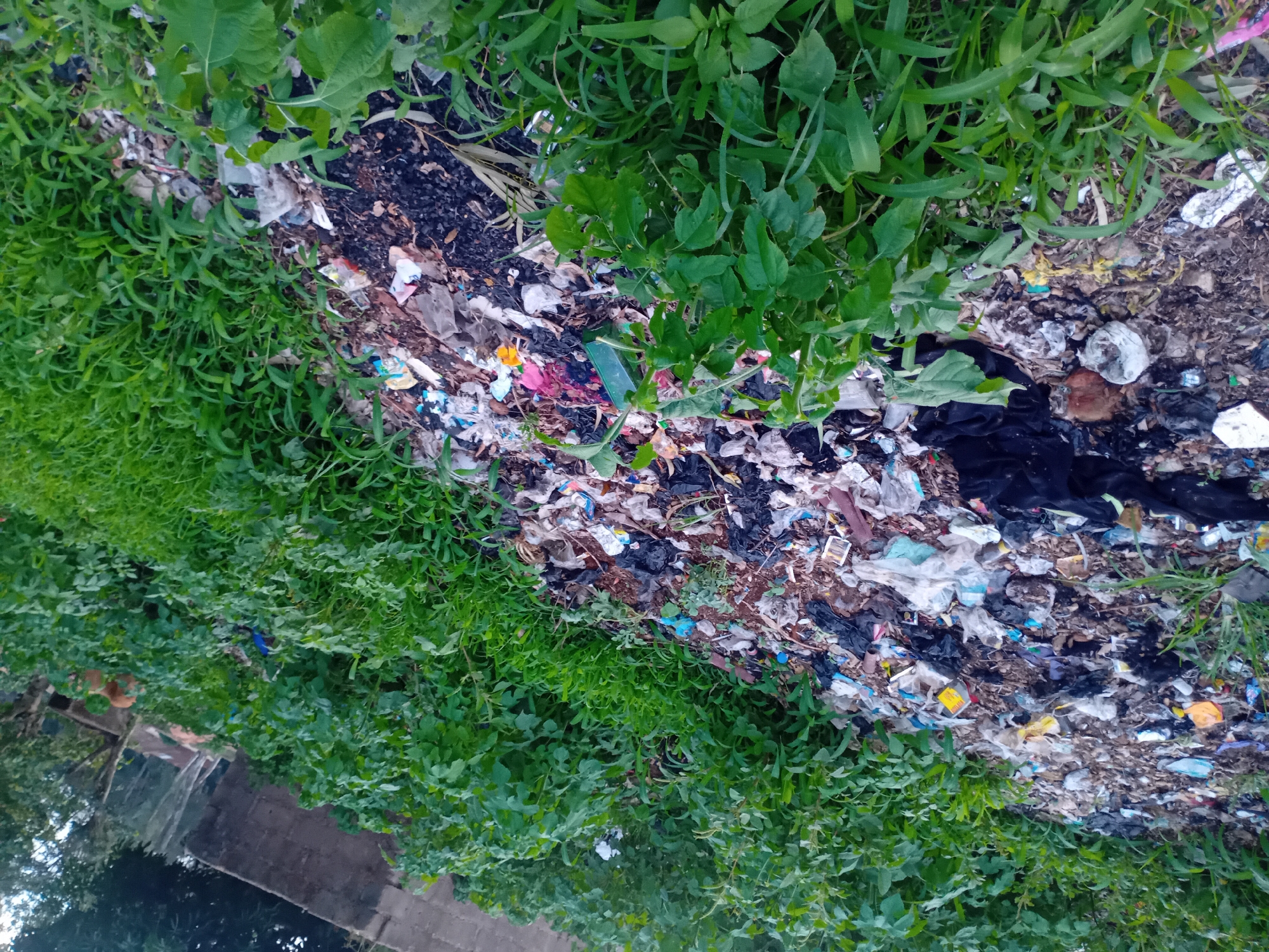 This media file captures an outdoor scene dominated by a substantial accumulation of mixed waste. A long, irregular pile of garbage stretches across the middle of the frame, separating two areas of dense green vegetation.
The primary subject is the refuse, which consists of numerous items such as white, black, and colored plastic bags, various food wrappers, pieces of paper and cardboard, fabric scraps, and other indistinguishable debris. The waste appears to be a mix of household and possibly commercial discards, intermingled with dark soil or decomposing organic matter. The volume and variety of items suggest a long-term dumping site or an area with inadequate waste management.
Flanking the central garbage heap are lush green plants. On the left side, there is a thick patch of shorter grass and leafy ground cover. On the right, taller weeds and broader-leafed plants are visible, extending into the background. The vegetation appears healthy and vibrant, contrasting sharply with the polluted waste area. In the lower left corner, a blurry structure, possibly a building or fence, can be faintly seen through the foliage, indicating a developed or semi-developed area nearby.
No human activity is depicted in the image. The scene portrays environmental degradation, highlighting the issue of pollution in a natural setting. The lighting suggests it is daytime, likely under an overcast sky or during early morning/late afternoon, as there are no harsh shadows. Given the context of Bukuru, Nigeria, this image likely illustrates a common problem of open dumping in communities without formal waste collection systems. No discernible text is visible on any of the discarded items.