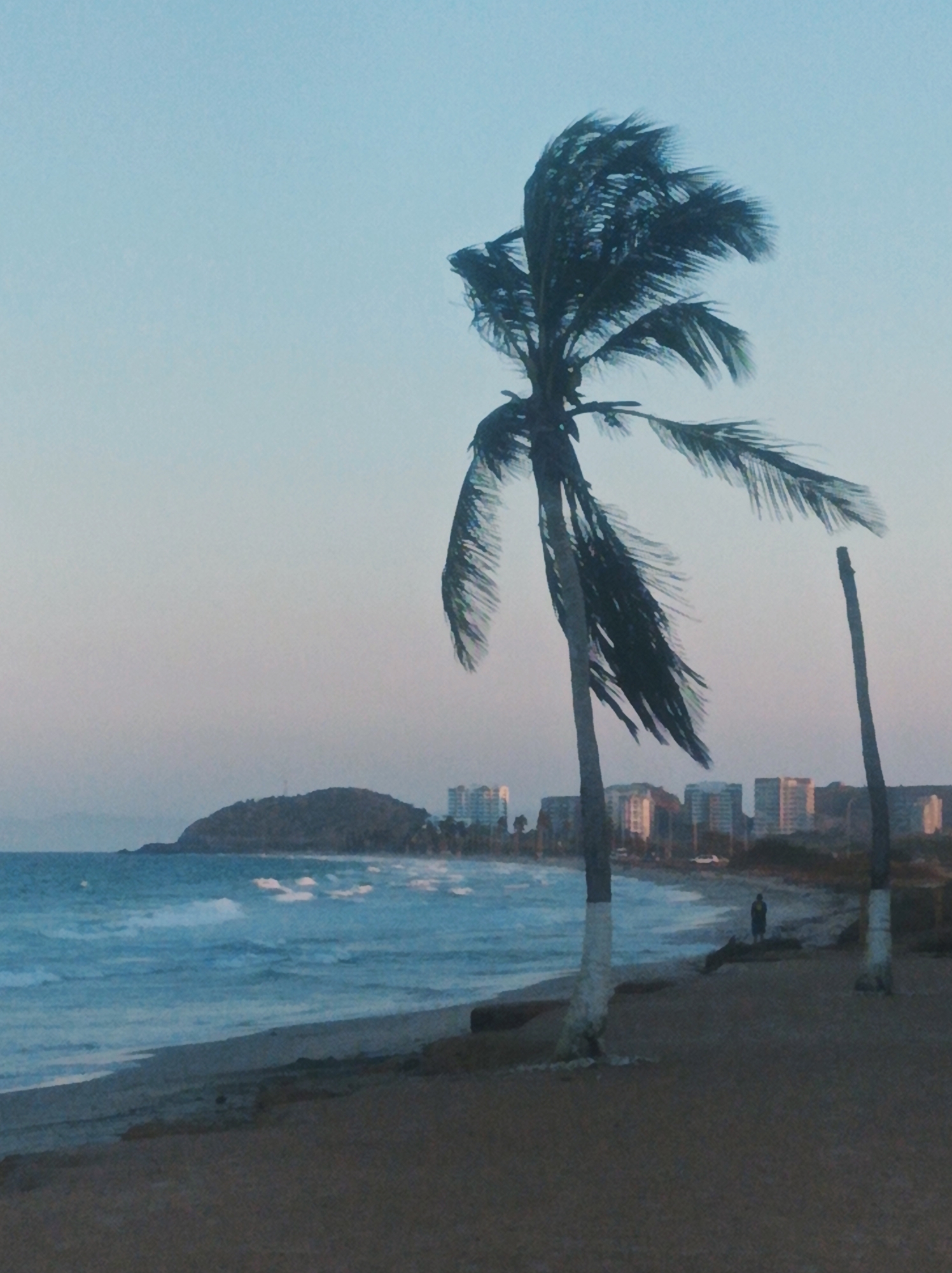 The image captures a coastal scene in Porlamar, Venezuela, featuring a beach with waves rolling towards the shore. In the foreground, a palm tree leans due to strong wind. A second, truncated tree is next to it. The lower portion of both trees have been painted white. A single person stands near the water's edge. In the background, buildings are visible against the horizon, with a small hill or headland positioned to the left of the buildings. The sky is a light hue, suggesting early morning or late evening light.