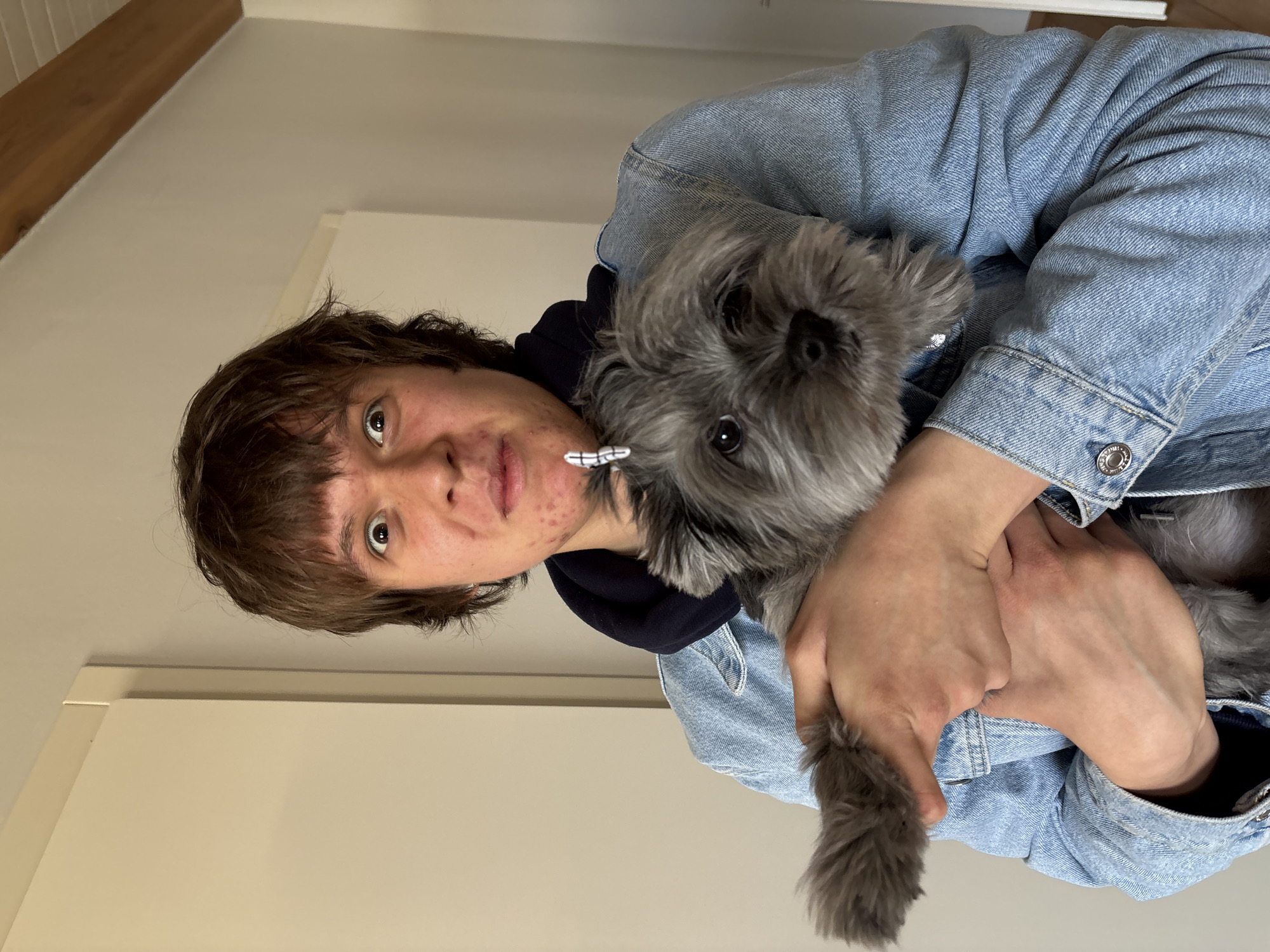 An indoor portrait image, oriented sideways (rotated 90 degrees clockwise), captures a young person holding a small, fluffy gray dog. The person, with medium-length brown hair and visible acne on their face, wears a light blue denim jacket over a dark blue hooded garment. They look directly at the camera with a neutral expression. A small, white clip with a black stripe is visible near their neck.
The small gray dog, held snugly in the person's arms, also looks towards the camera with dark, alert eyes. Its fur appears soft and dense. The person's hands are visible, gently supporting the dog. A metal button with an illegible logo can be seen on the cuff of the denim jacket.
The background is simple and uncluttered, consisting of plain, light-colored walls, possibly off-white. A light-colored doorframe or corner of a room is visible. In the upper left background, a diagonal wooden beam suggests a ceiling or architectural feature within the indoor setting. The scene conveys a moment of close companionship between the person and their pet, likely taken in a residential interior in Chaikovsky, Russia.