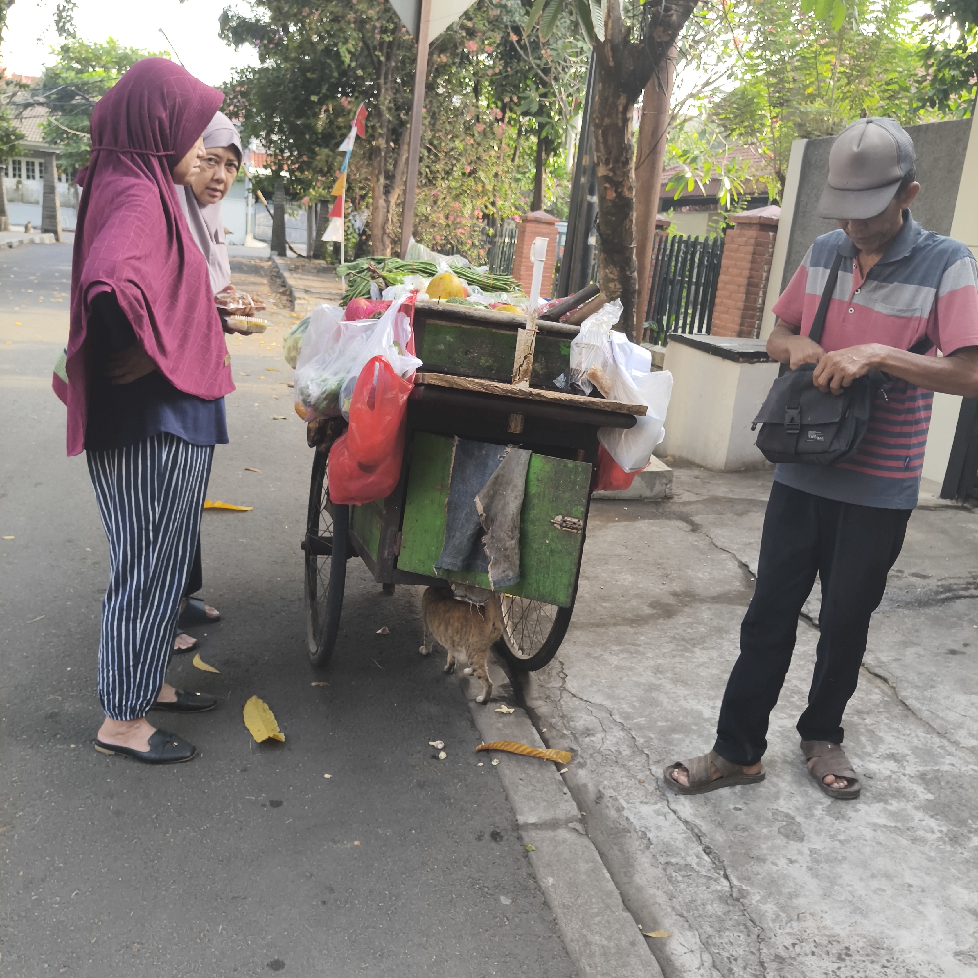 Memory