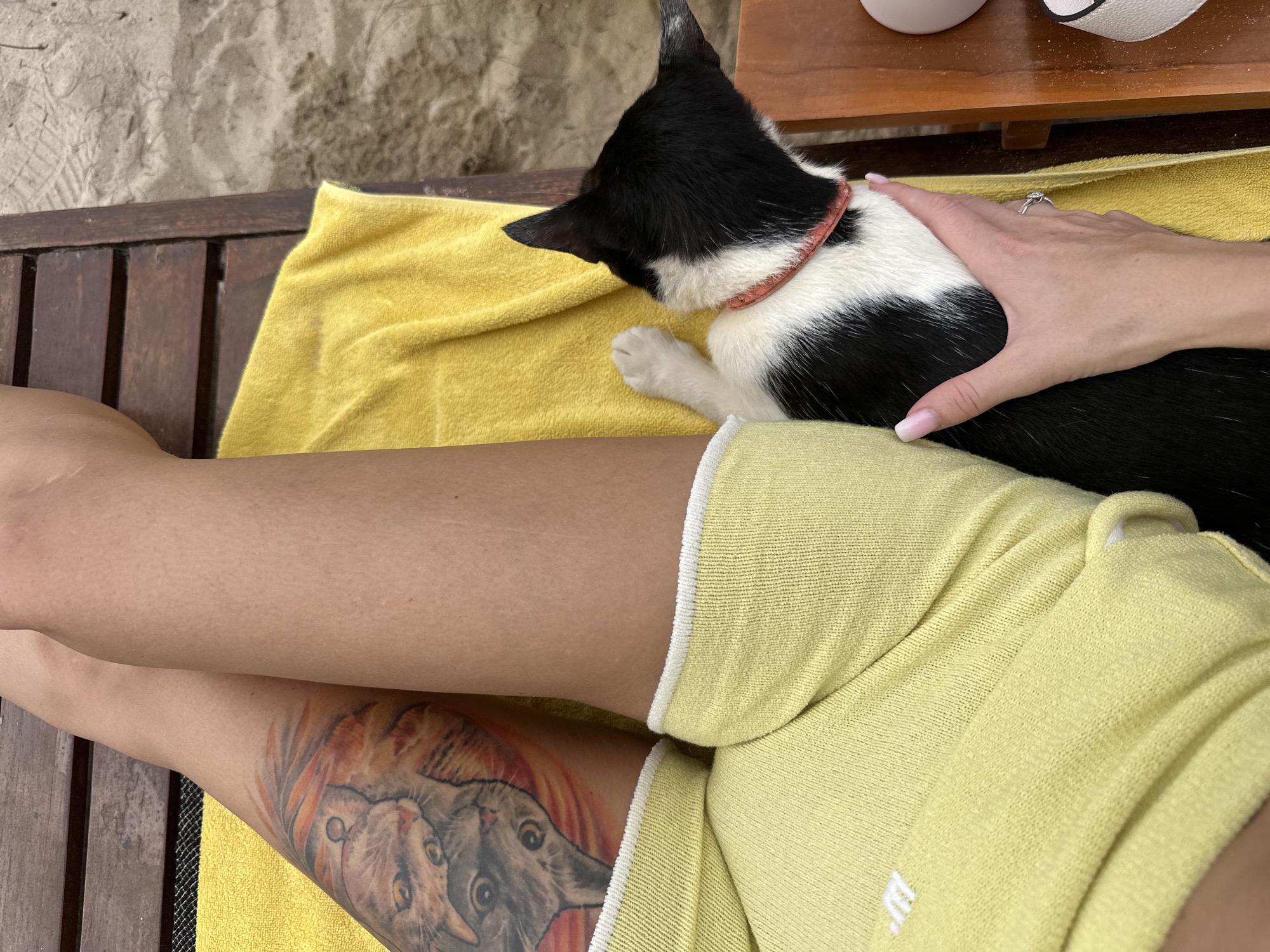 A black and white cat is lying on a yellow towel next to a person's legs, which are tattooed with an image of cats. The person is wearing yellow shorts. They are on a wooden lounge chair outdoors, with sand visible to the right. The location is unknown.