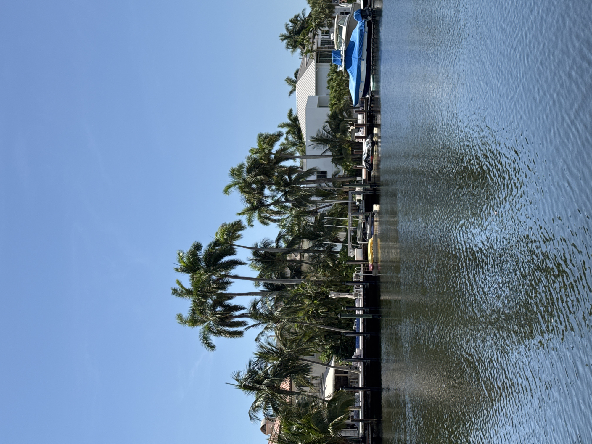 The image depicts a serene canal scene in Fort Lauderdale, Florida. The main subjects are several modern houses, partially obscured by lush palm trees lining the waterfront. A few boats are docked, one of which is covered with a blue tarp, suggesting they are being stored or protected. The water in the canal is calm with gentle ripples, reflecting the clear blue sky and the surrounding greenery.
The scene appears to be captured on a bright, sunny day, indicated by the strong shadows and the vivid blue of the sky. The presence of palm trees and the canal setting strongly suggest a tropical or subtropical location, consistent with Fort Lauderdale. There are no people visible in the image, contributing to a sense of tranquility and quiet. The architecture of the houses, with their clean lines and white facades, points to a contemporary style.
Notable details include the docked boats, the variety of palm trees, and the textured surface of the water. The overall impression is one of a peaceful, upscale residential area, typical of coastal communities in South Florida. There is no visible text within the image. The time of day is likely midday or early afternoon, given the angle of the sunlight.
