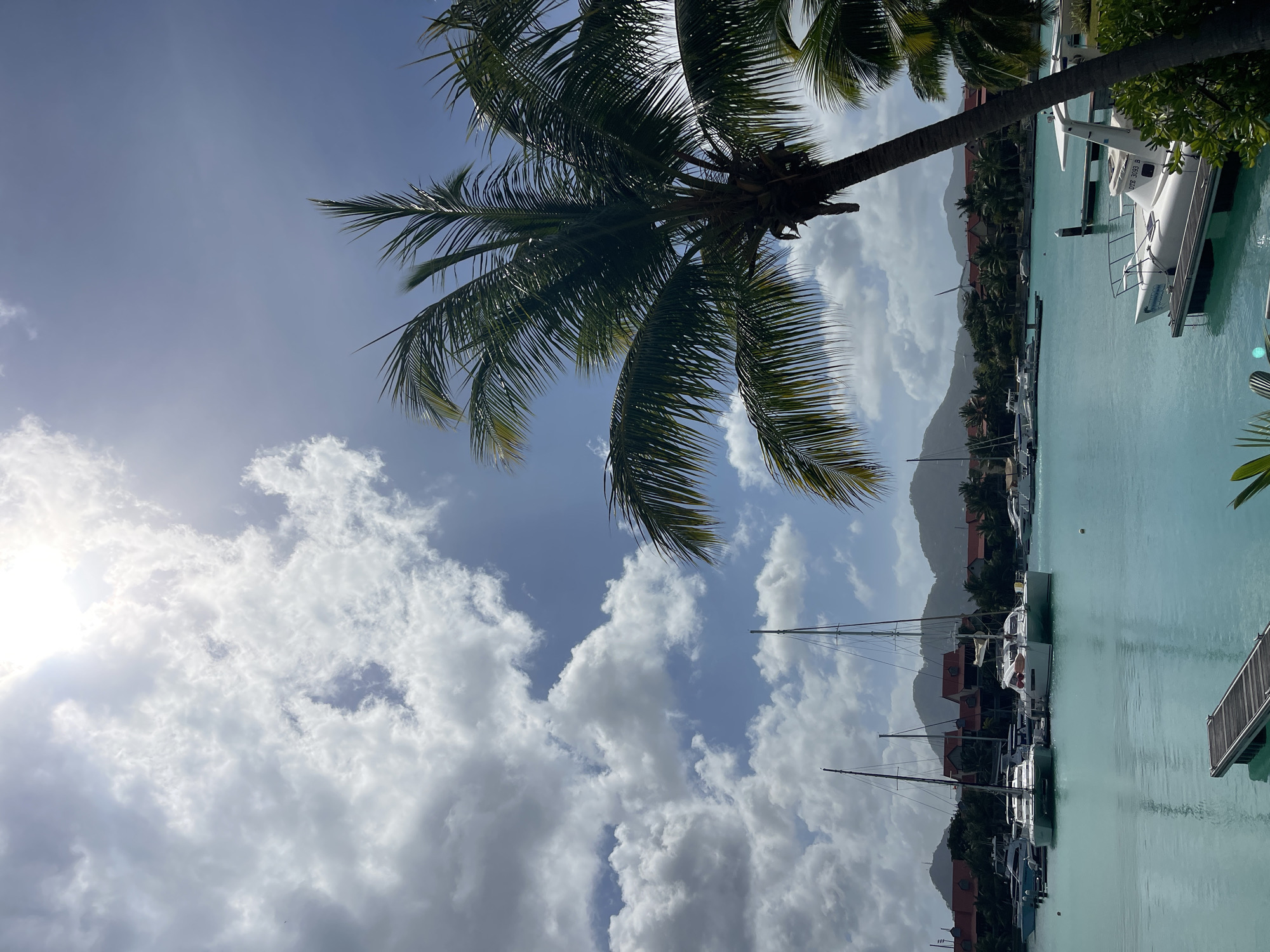 The image depicts a serene harbor scene in Providence, Seychelles, bathed in bright sunlight and featuring a backdrop of lush green hills. The foreground is dominated by a tranquil turquoise body of water, with a wooden jetty extending into the frame from the lower left corner. Several boats, including catamarans and smaller motorboats, are moored in the bay. In the midground, a cluster of red-roofed buildings is visible, nestled amongst palm trees and other tropical vegetation. The sky above is a vibrant blue, dotted with fluffy white clouds, and the sun shines brightly, casting a gentle glow on the scene. A large palm tree with its fronds elegantly arching over the water adds a tropical flair to the composition. The overall impression is one of peaceful tropical beauty and a well-maintained marina.