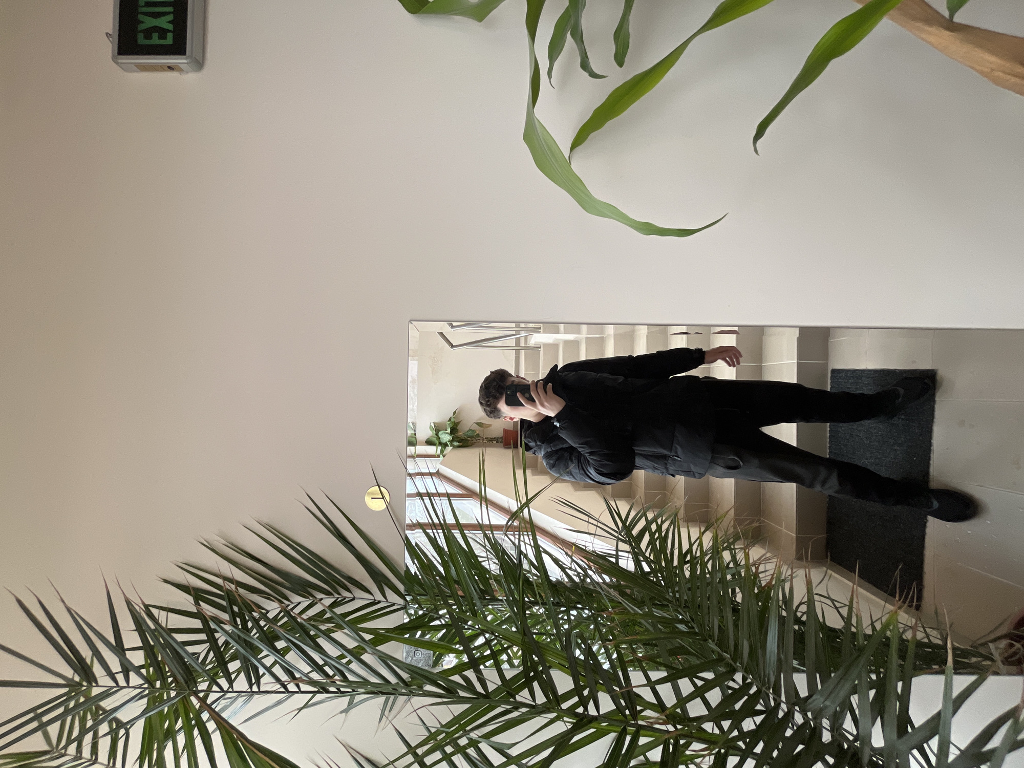 The image shows a person taking a photo in a mirror. The reflection shows a man dressed in black, holding a phone up to his face, presumably to take a selfie. He is standing in what appears to be a stairwell. The stairwell has light-colored walls and beige stairs, with a dark-colored mat at the base. The reflection in the mirror also shows a window on the landing of the stairs, a small house plant. A large palm plant sits on the bottom left corner, and a potted corn plant on the top right corner of the image. An exit sign is seen on the top left corner. The location is unspecified, Plovdiv, Bulgaria.