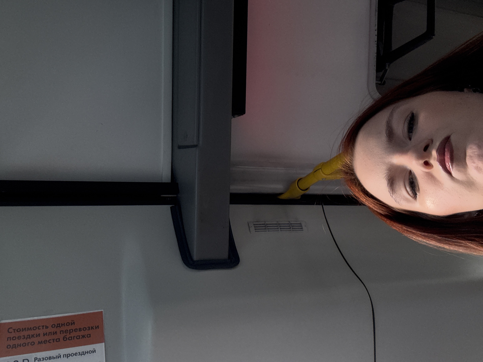 The image shows the interior of a public transportation vehicle, possibly a bus or train. A woman with reddish-brown hair is partially visible in the upper right corner of the frame.
The environment includes:
* A gray pillar with a black rubber lining.
* A ventilation grill.
* A yellow, flexible tube.
* A black electrical wire.
* A posted sign with pricing information written in Russian: "Стоимость одной поездки или перевозки одного места багажа" (Cost of one trip or transportation of one piece of luggage).
There is no identifiable location to indicate Sinyavino, Russia.