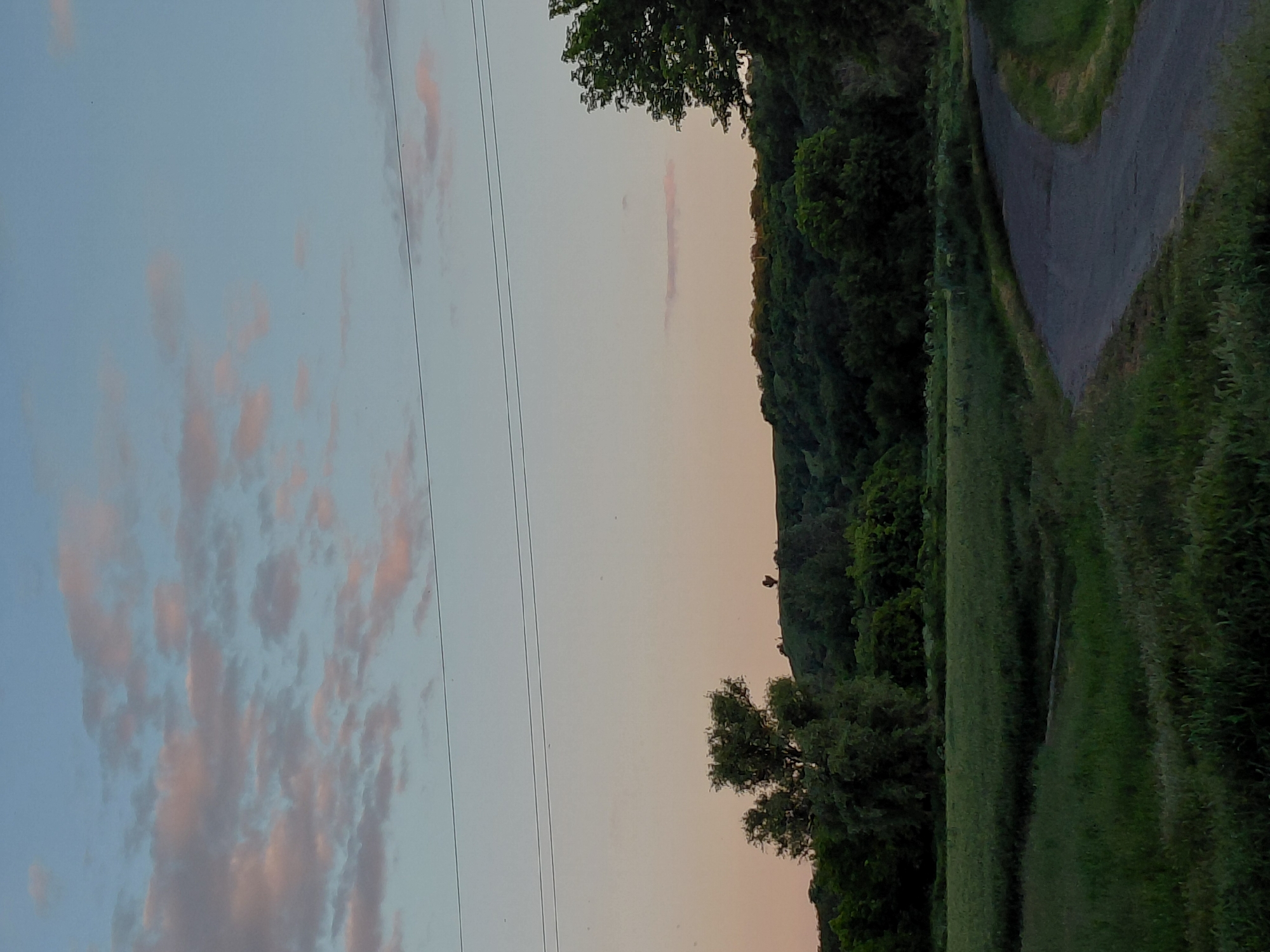 The image displays a serene landscape, rotated 90 degrees clockwise from its likely original orientation, suggesting either a sunrise or sunset. The sky, occupying a significant portion of the upper and middle left, is a pale blue transitioning to a lighter, warmer tone towards the horizon. Scattered across the blue sky are wispy, delicate clouds tinged with soft pink and orange hues, characteristic of dawn or dusk. Thin, dark lines, likely power lines, stretch horizontally across the sky.
A prominent line of dark green trees and dense foliage forms a natural boundary across the midground, suggesting a distant hillside or a thick forest. In the foreground and extending towards the right, a winding, narrow road or path, possibly asphalt or packed dirt, curves gently through an expanse of lush green grass and vegetation. The grass appears to be a field or a wide verge alongside the path. No people or animals are visible, and there is no activity taking place. The overall impression is one of peaceful rural or semi-rural solitude. There is no visible text.