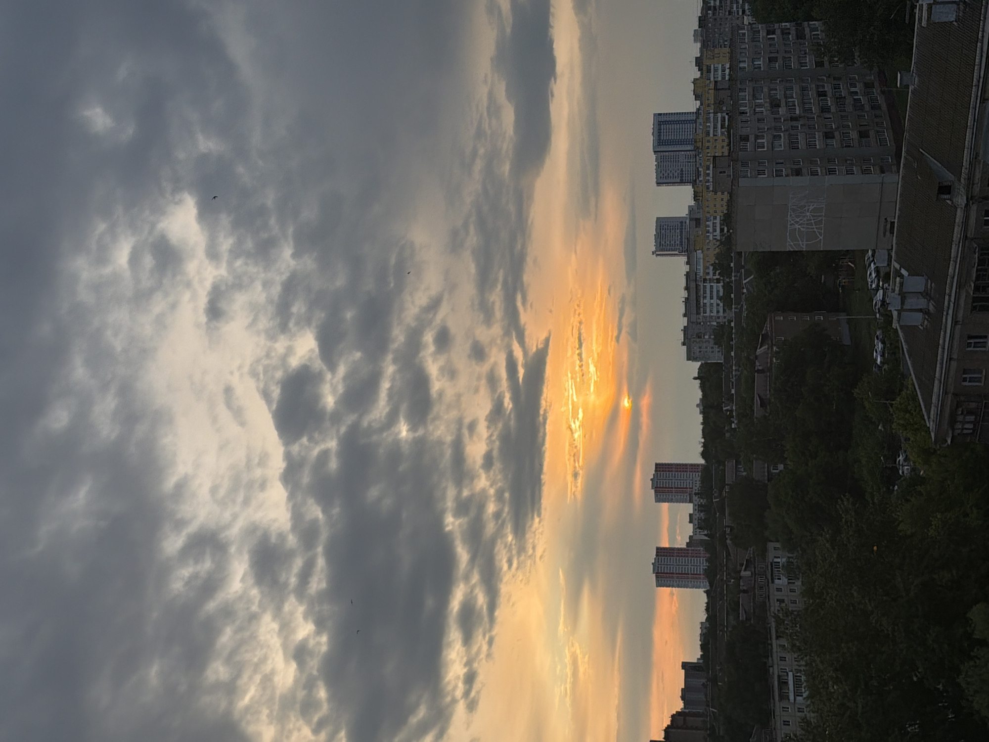 A sideways view of a cityscape under a cloudy sky with a streak of bright light, presumably a sunset. The city contains a mix of low-rise and high-rise buildings, some with graffiti on their sides. Trees fill the spaces between the buildings. The sky shows a contrast between dark, heavy clouds and a strip of golden sunlight. Some birds are flying in the sky.