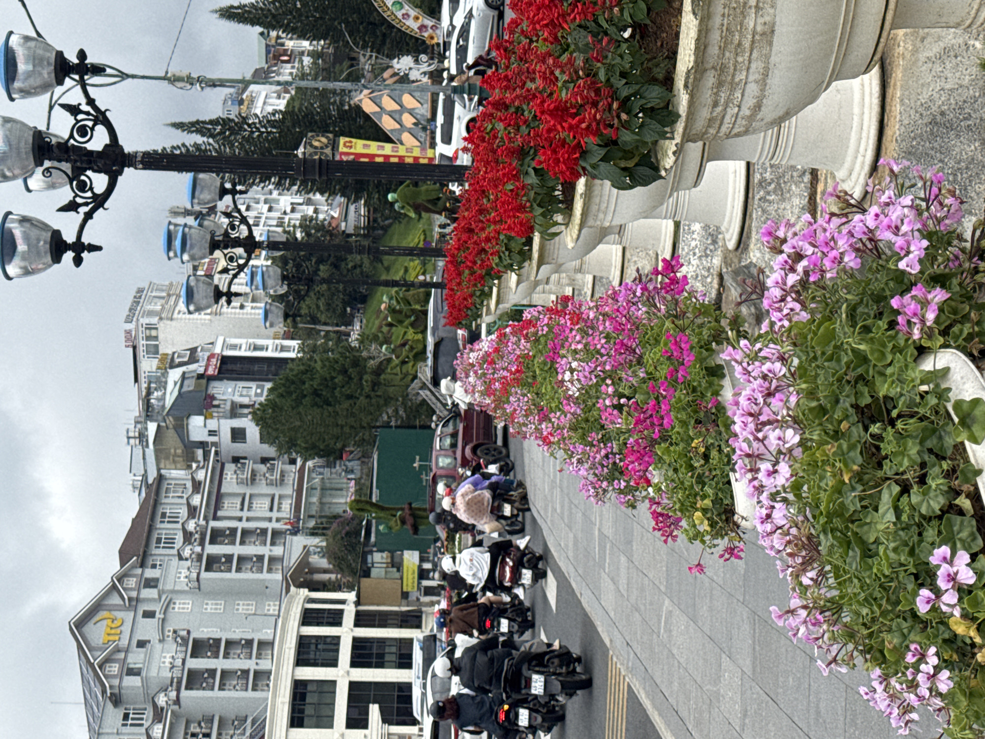 The image captures a street scene in Da Lat, Vietnam, likely along a sidewalk or boulevard lined with vibrant flower beds in large planters. In the foreground, a row of white planters holds lush green foliage and bright pink and purple flowers, with another row of planters filled with red flowers further down the line. Behind the planters, a grey tiled sidewalk is visible, and beyond that, a road with several motorbikes and their riders. The riders are mostly wearing helmets and casual clothing, with some carrying backpacks. A few cars are also present on the road.
In the background, a multi-story building with a distinctive yellow "TTC" logo and arched windows stands prominently. Other buildings, characteristic of city architecture, line the street, some appearing to be hotels or commercial establishments. Several street lamps with multiple globes and decorative metalwork are spaced along the sidewalk. The sky is overcast, creating a diffused light. The scene suggests a busy urban environment with a focus on floral decoration, a common feature in Da Lat.