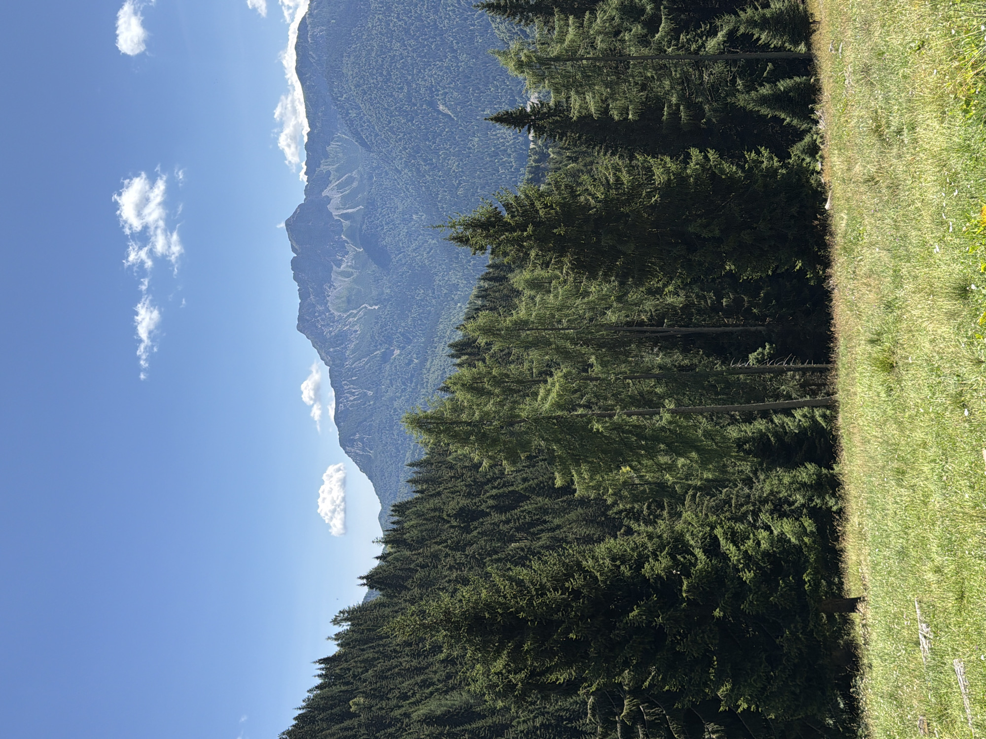 The image depicts a mountainous landscape under a clear blue sky with scattered white clouds. In the foreground, a grassy meadow with wildflowers transitions into a dense forest of evergreen trees. The forest extends up the steep slopes of the mountains. Further in the background, rugged mountain peaks are visible, with some areas appearing rocky and snow-dusted, while others are covered in vegetation. The scene appears to be a natural outdoor environment in a mountainous region.