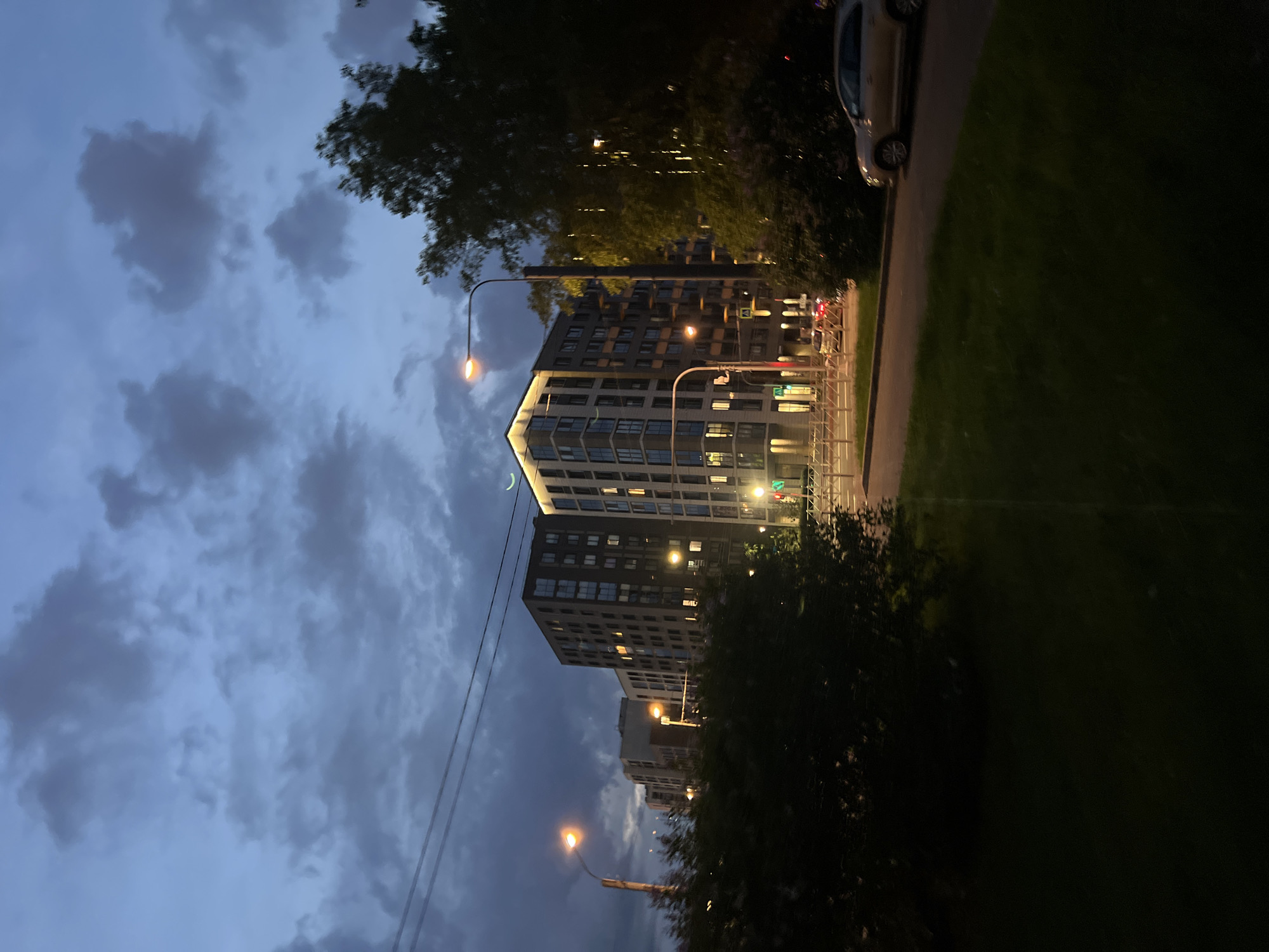 This image depicts an urban scene at dusk or night in Saint Petersburg, Russia, characterized by modern residential buildings, street infrastructure, and dense vegetation under a cloudy sky.
In the upper portion, the sky is dark blue-grey and heavily overcast with numerous, textured clouds. Several dark utility lines stretch horizontally across the upper middle ground.
The middle ground is dominated by a series of multi-story, contemporary residential buildings with dark facades and numerous illuminated windows, casting warm yellow light. The central building features distinct illuminated details along its roofline, including a crescent-shaped light element.
Below the buildings, a paved road runs horizontally, curving slightly to the right. White pedestrian crosswalk markings are visible on the road. Metal safety barriers line the street edge. A traffic light showing a green signal is visible near the buildings. A light-colored sedan is parked or driving on the right side of the road.
The scene is illuminated by multiple streetlights emitting warm, yellowish-orange light.
The foreground and parts of the mid-ground are filled with dark, dense foliage from trees and bushes. A strip of green grass is visible in the lower foreground. No individuals are discernible in the scene.