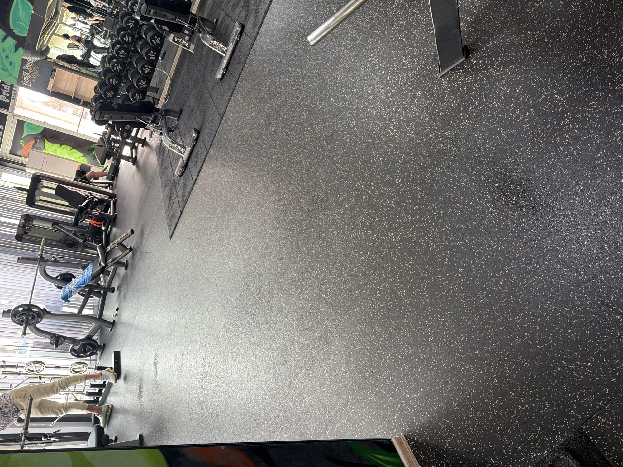 The image displays the interior of a gym, likely in Pleven, Bulgaria, viewed from a high, diagonal angle. The floor is covered with dark grey rubber tiling interspersed with light beige or brown flecks.
Various types of fitness equipment are arranged throughout the space. Along the left wall, a long rack holds numerous dumbbells of different weights, with "22.5KG" and "35KG" markings visible on some, along with a partial "ADIDAS" logo. Several adjustable weight benches and weight machines are positioned near the dumbbell rack, some featuring the brand name "LIONS PRIDE". Further back, additional weightlifting stations with barbells and weight plates can be seen. A blue towel is draped over one of the weight machines.
Multiple individuals are present, engaged in activities typical of a gym setting. In the foreground at the bottom left, a person is partially visible, wearing light-colored trousers and athletic shoes, appearing to be using a machine or performing a floor exercise. Other gym-goers are visible in the background, near the dumbbell racks and other equipment, their figures somewhat indistinct.
The gym benefits from natural light entering through large windows on the left side, supplemented by artificial indoor lighting. Wall decorations include green leaf-like graphics and text, with "Pride" and "LIONS' PRIDE" visible on signs and equipment. The scene depicts an active, well-equipped fitness environment.