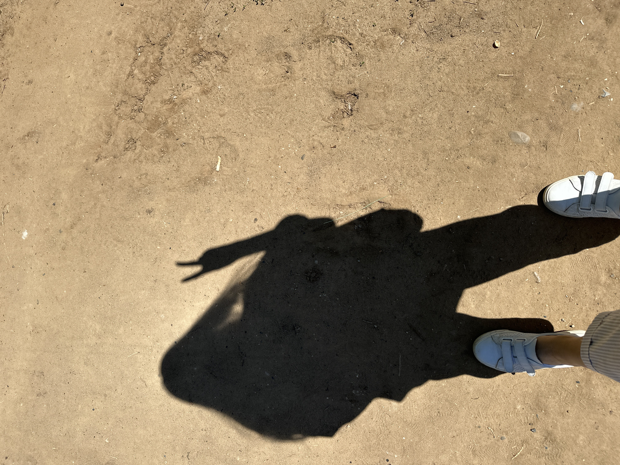 A shadow of a person is cast on a dirt ground. The shadow shows a person standing with their left leg forward and their right hand raised, forming a peace sign. The person is wearing white shoes and striped pants. The ground is dry and sandy with some debris, including a cigarette butt. The scene is illuminated by sunlight, casting a sharp shadow. The location is the city of Chaikovsky, Russia.