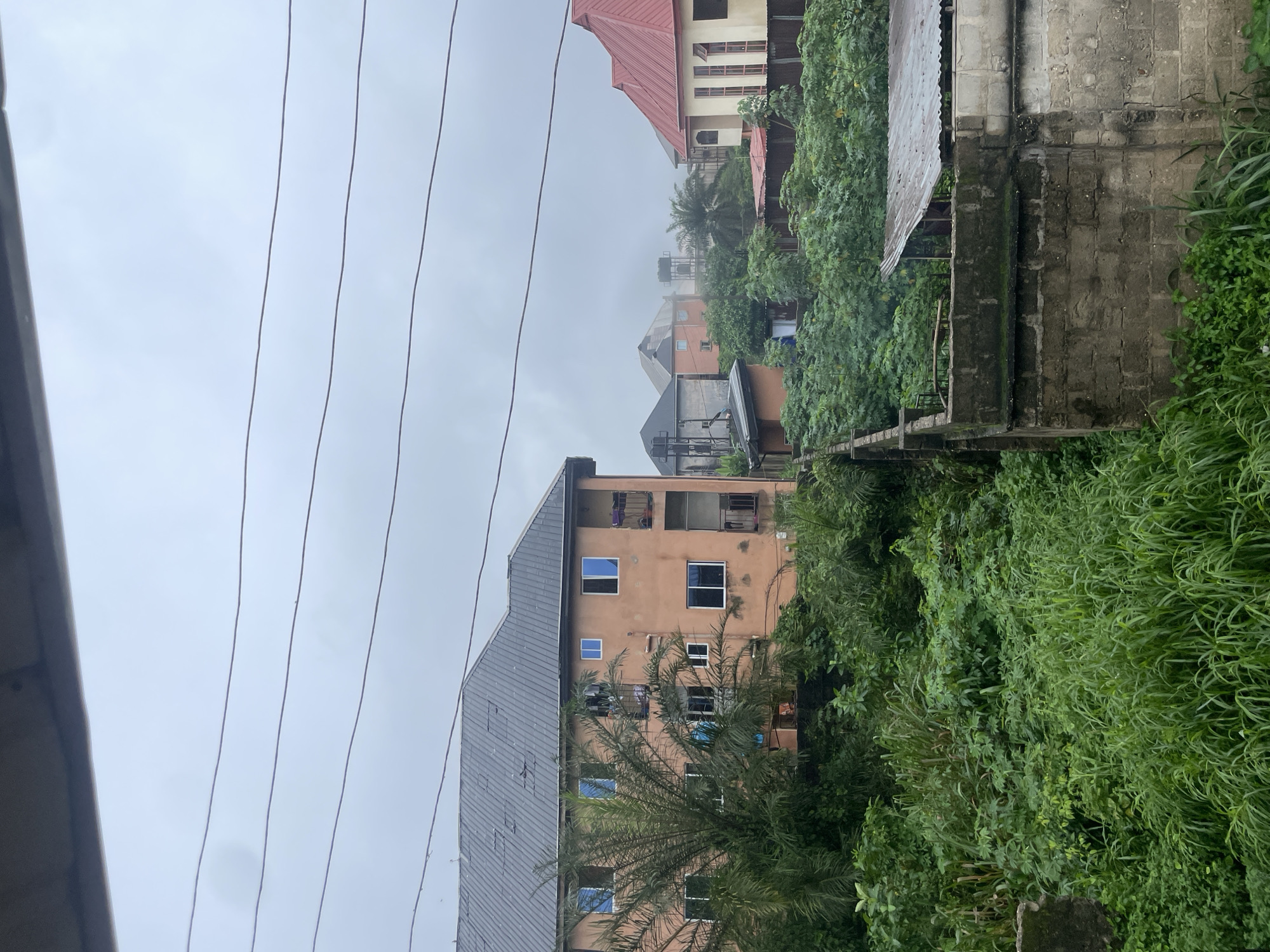 The image depicts an overcast sky over a residential area in Ihiagwa, Nigeria. In the foreground, dense green vegetation, including tall grasses and leafy bushes, covers the ground and climbs over a concrete wall. A partially constructed or dilapidated building with a corrugated metal roof is visible behind the wall.
Dominating the mid-ground is a three-story apartment building with an orange-peach colored facade and a dark, sloped roof. Numerous windows, some with blue or dark panes and others with white frames, punctuate the building's exterior. Balconies with railings are present on the upper floors, and laundry hangs from some of them. A palm tree with dense fronds is situated to the left of the apartment building, partially obscuring it.
Further in the background, several other houses with varying roof colors and architectural styles are scattered amongst more greenery and partially obscured by a light haze or fog. One prominent house has a red-tiled roof and pale yellow walls with tall, narrow windows. Power lines are strung across the top portion of the image, suspended against the cloudy sky. The scene conveys a sense of a developing or established residential neighborhood under cloudy conditions.
