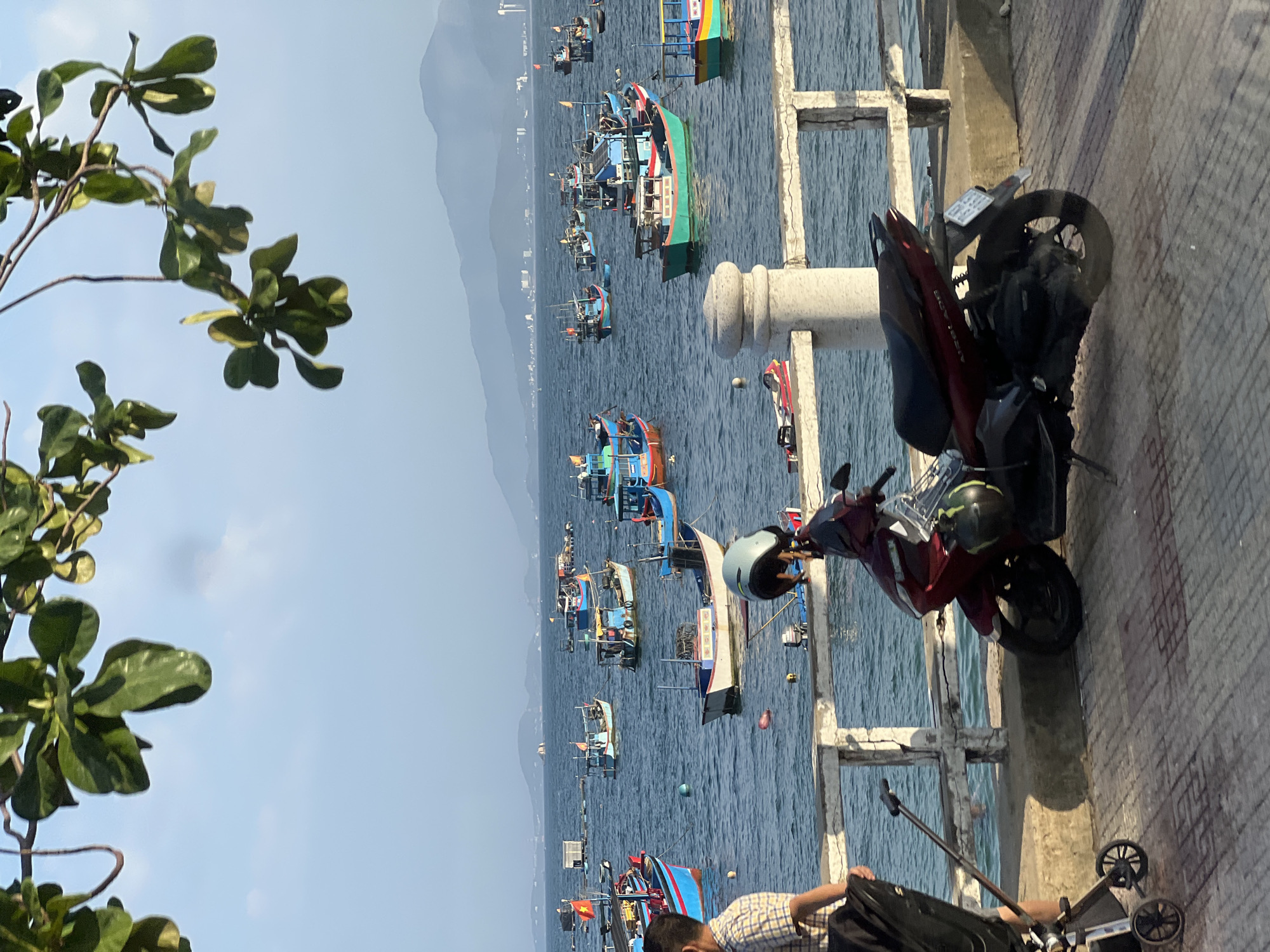 The image depicts a coastal scene in Nha Trang, Vietnam, likely during the daytime under a clear sky. In the foreground, a maroon scooter is parked on a paved walkway next to a white railing. A portion of a stroller and a person's legs, wearing checkered shorts, are visible to the left of the scooter, suggesting recent movement or presence. The walkway is bordered by a concrete wall separating it from the sea.
The sea is populated with numerous fishing boats of varying sizes and colors, predominantly blue, green, and red. Some boats are moored, while others appear to be actively engaged in fishing or transport. In the background, a distant coastline with mountains is visible, and hints of buildings suggest the presence of a city. Lush green foliage from a tree hangs into the frame from the top, framing the sky and the distant landscape. The overall impression is one of a bustling maritime community under a bright, calm sky.
