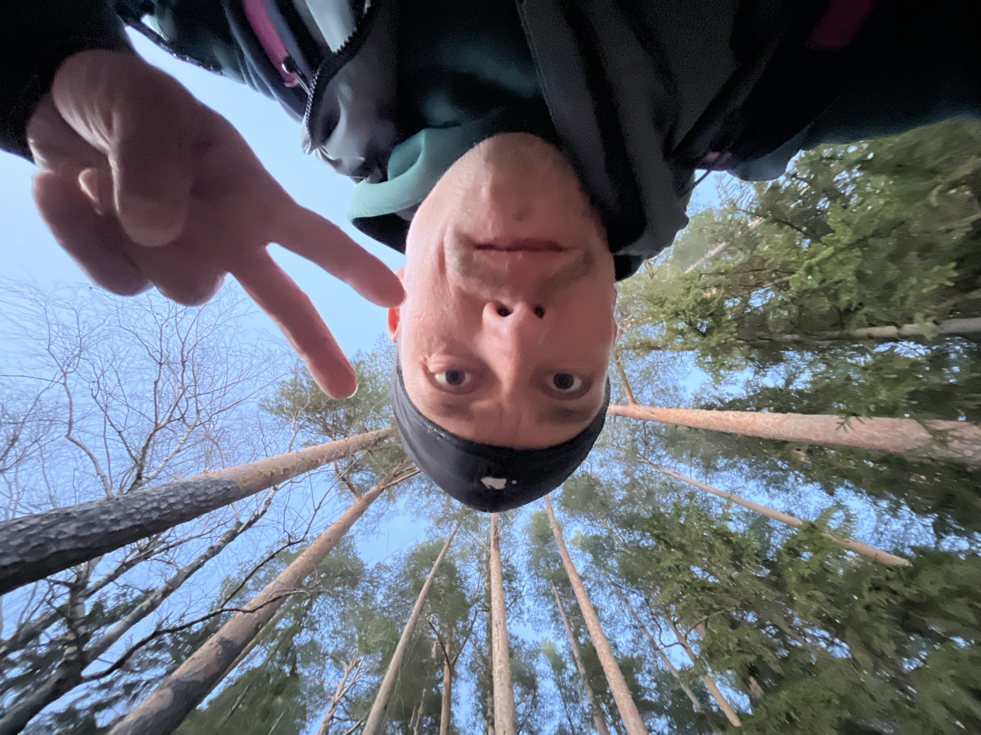 The image captures a man taking an upward-angled selfie in a forest in Chaikovsky, Russia. The man's head is inverted at the top center of the frame, facing directly into the camera. He wears a dark jacket over a mint green hooded garment and a dark beanie. His right hand is raised, displaying a peace sign. His eyes are wide open, and his expression is neutral.
The background, seen from a low perspective, reveals numerous tall trees with straight trunks, predominantly conifers (likely pines), stretching upwards towards a clear, light blue sky. Some bare-branched deciduous trees are also visible among the conifers. The setting is a dense forest or wooded area. The lighting suggests it is daytime, with soft, even illumination. The overall impression is casual and playful due to the unusual angle and hand gesture. There is no visible text in the image.