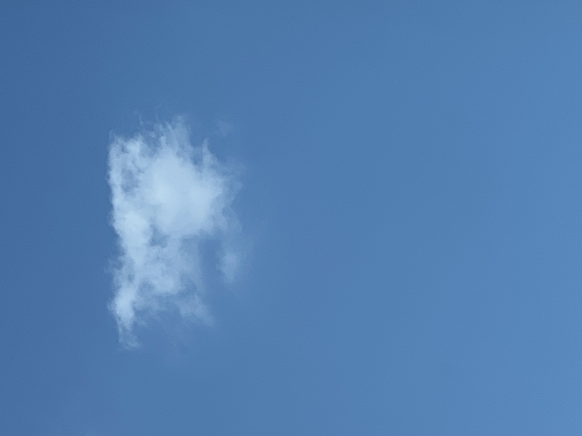 A single, wispy white cloud floats in a clear, bright blue sky. The cloud is small and irregularly shaped, with soft, indistinct edges. The sky occupies the vast majority of the image, suggesting an open environment with unobstructed visibility. There are no people, buildings, or other discernible objects in the frame. The image appears to be a photograph taken on a clear day, likely outdoors. The location in Warsaw, Poland, cannot be determined from the visual information provided.