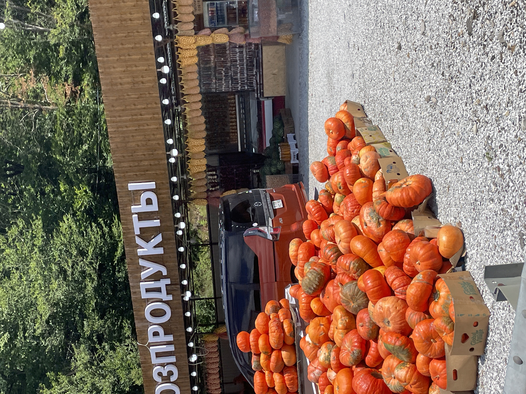 This image depicts an outdoor market stall in Gorskoye, Russia, situated at the base of a tree-covered hill. The stall features a wooden facade with large, illuminated white lettering that spells out "Г О З П Р О Д У К Т Ы", likely indicating "Agricultural Products" or a similar designation. A row of lightbulbs hangs below the sign, and further down, a series of yellow, net-like bags are suspended, possibly containing produce.
In front of the stall, a substantial display of pumpkins is arranged on a gravelly surface. These pumpkins vary in size and color, ranging from bright orange to greenish-brown. Some are piled high, while others are contained within cardboard boxes, one of which is partially visible with a "Global Village" logo.
A red and black minivan is parked behind the pumpkins, partially obscuring a section of the market stall where shelves stocked with various items are visible. The environment appears to be a natural setting, with lush green trees forming a backdrop to the market. The overall scene suggests a seasonal agricultural market, likely in autumn given the abundance of pumpkins.
