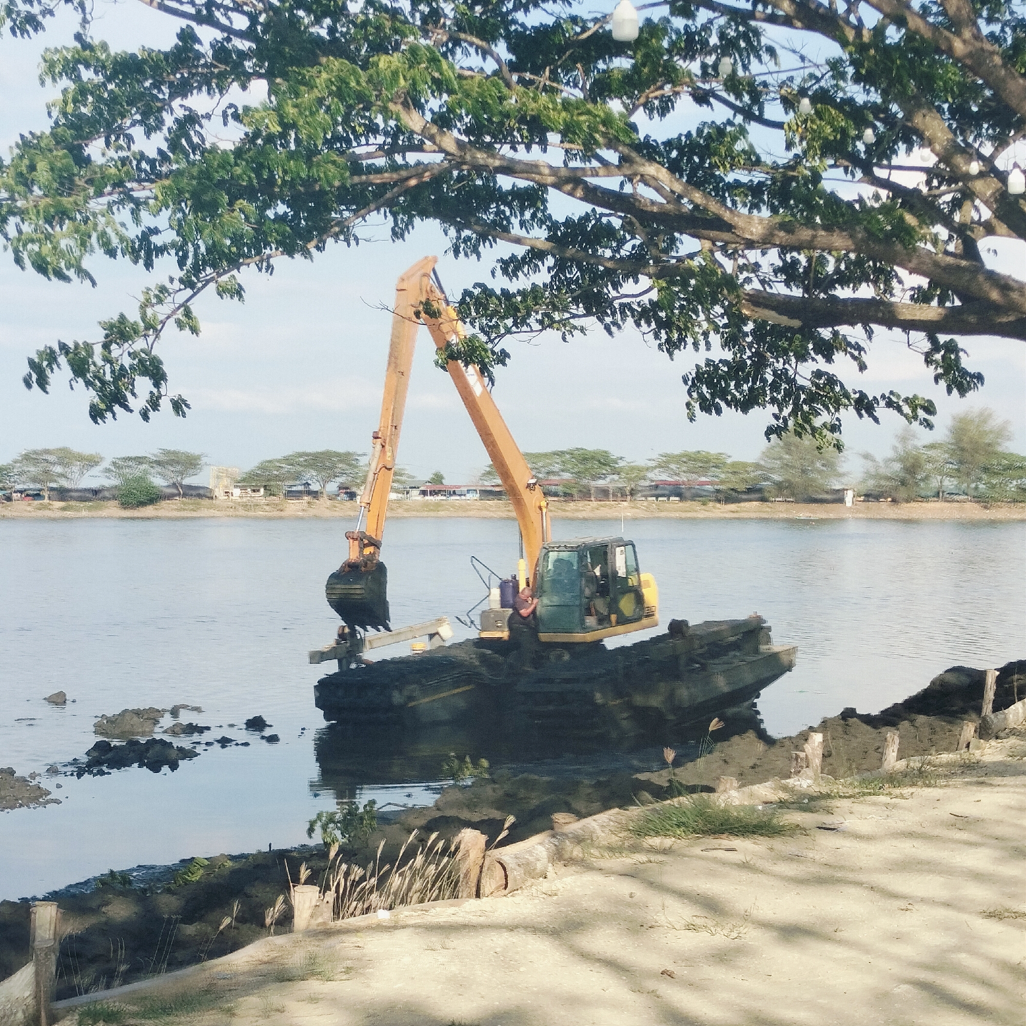 A construction excavator on a pontoon boat is working in a body of water. The excavator's bucket is positioned over the water near the shoreline. The shoreline consists of dirt and vegetation. In the background is land with trees and buildings. The scene is partially shaded by a large tree in the foreground. This is the city of Lhokseumawe, Indonesia.