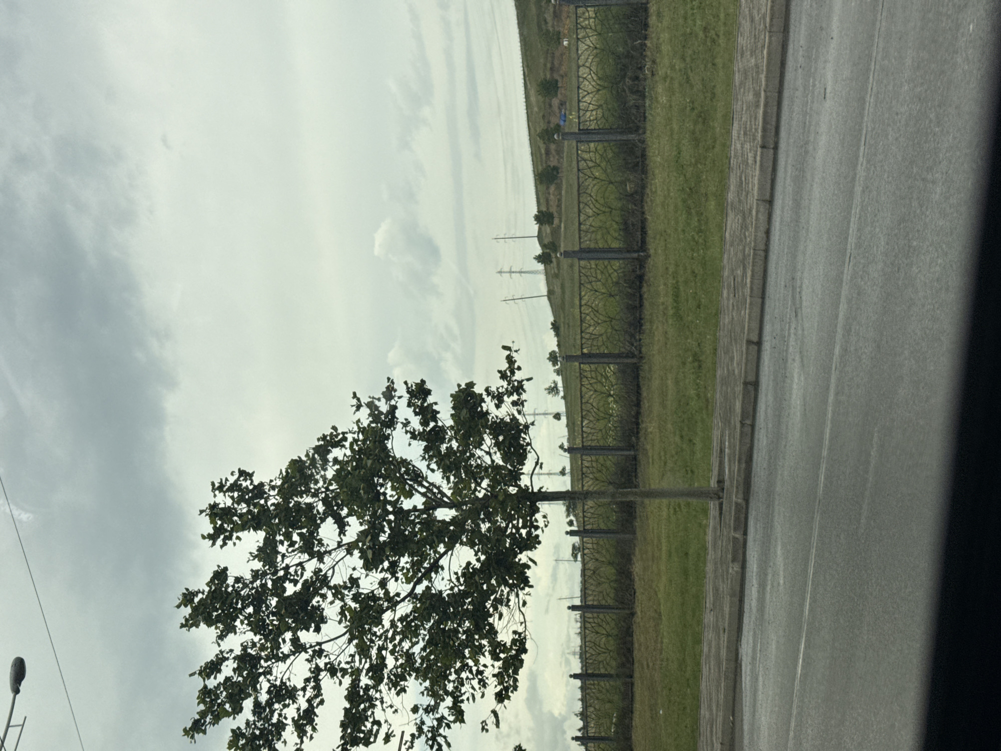 An outdoor, eye-level, medium shot captures a lone, leafy green tree on the left side of the frame. Behind the tree, a decorative fence with a vine-like pattern runs horizontally across the middle ground. Beyond the fence, a grassy hill slopes upward, dotted with a few smaller trees and topped with utility poles and power lines. The sky above is overcast with thick, gray clouds. The foreground features a wet asphalt road with visible lane markings. The scene appears to be in an urban or suburban setting, possibly on a cloudy day.