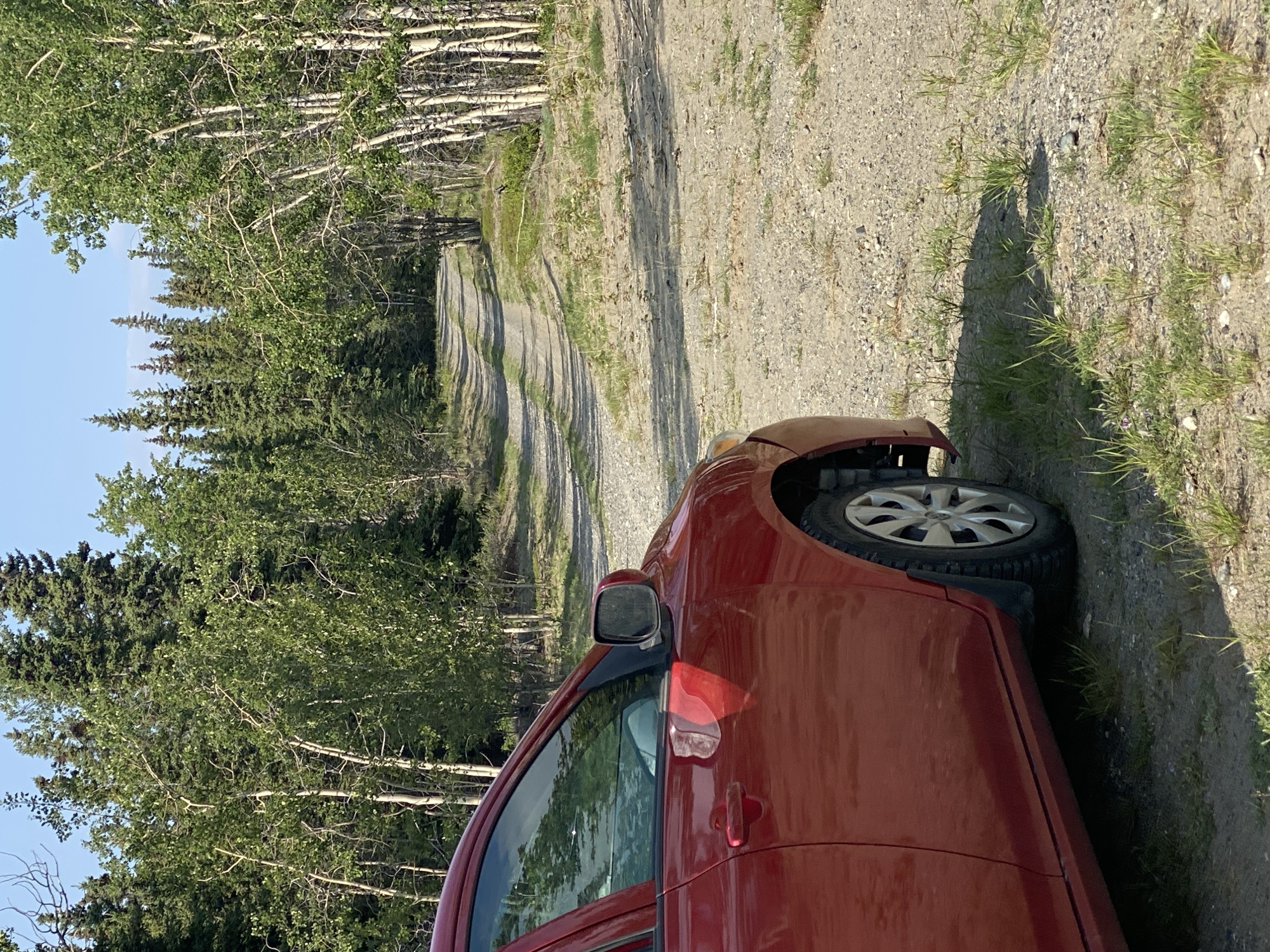 A red car is parked on the side of a gravel road that winds through a forest of coniferous and deciduous trees under a clear blue sky. The car is angled towards the viewer, showing its front passenger side and part of its door. The road is unpaved and appears to be a dirt track with loose gravel and some patches of dry grass growing along its edges. The surrounding forest is dense with tall trees, creating a natural and somewhat secluded setting. The lighting suggests it is daytime, with shadows cast by the trees across the road and the car.
