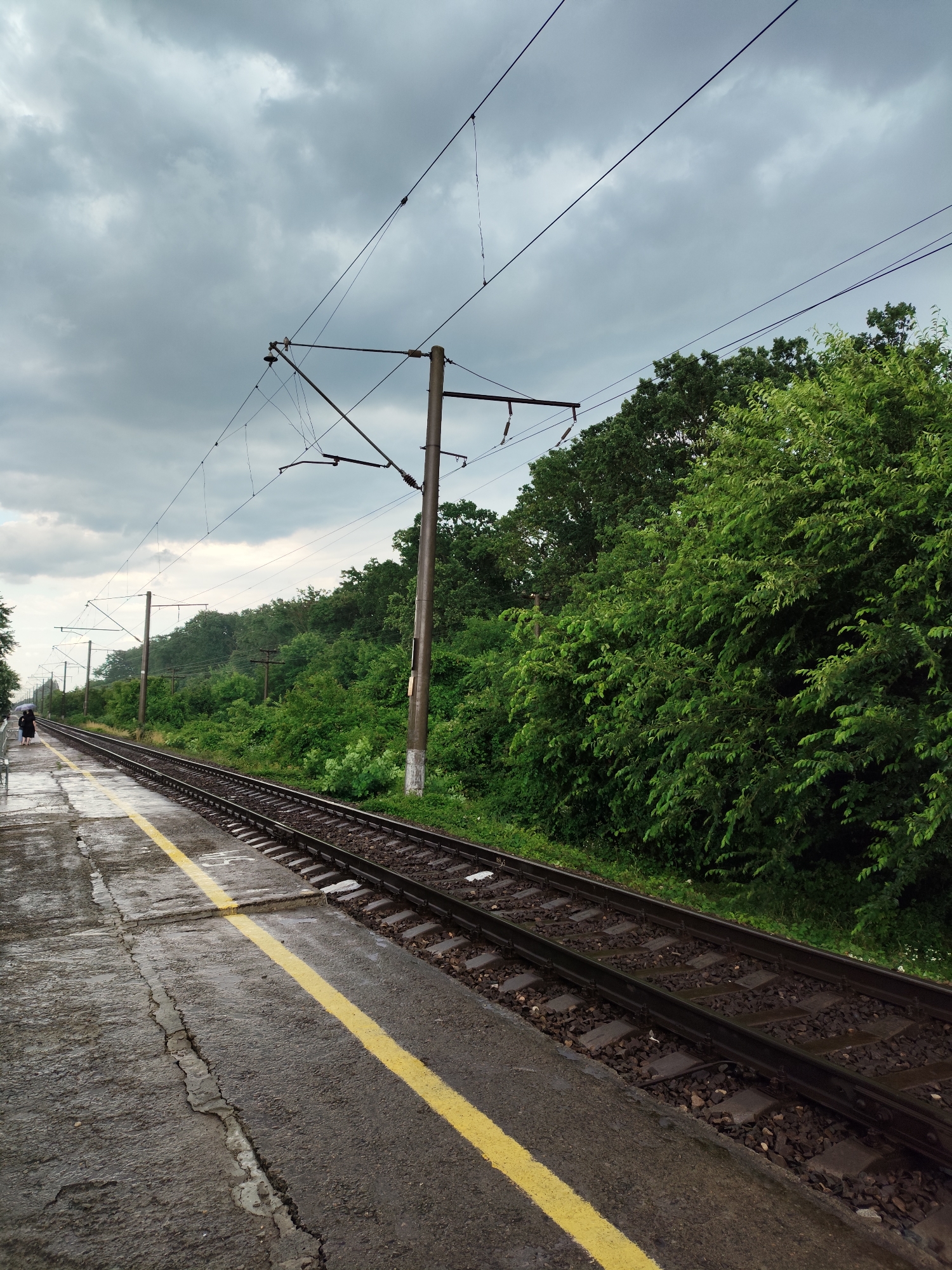 The image depicts a wet train platform on an overcast day in Znamenskiy, Russia. In the foreground, a cracked asphalt platform is marked with a yellow safety line. Railroad tracks run parallel to the platform, with ballast and sleepers visible. Overhead, power lines for an electric train stretch across the frame, supported by utility poles. A person walks away from the camera on the platform, holding a black umbrella. Dense green trees form a backdrop to the scene, with the sky filled with heavy, grey clouds.