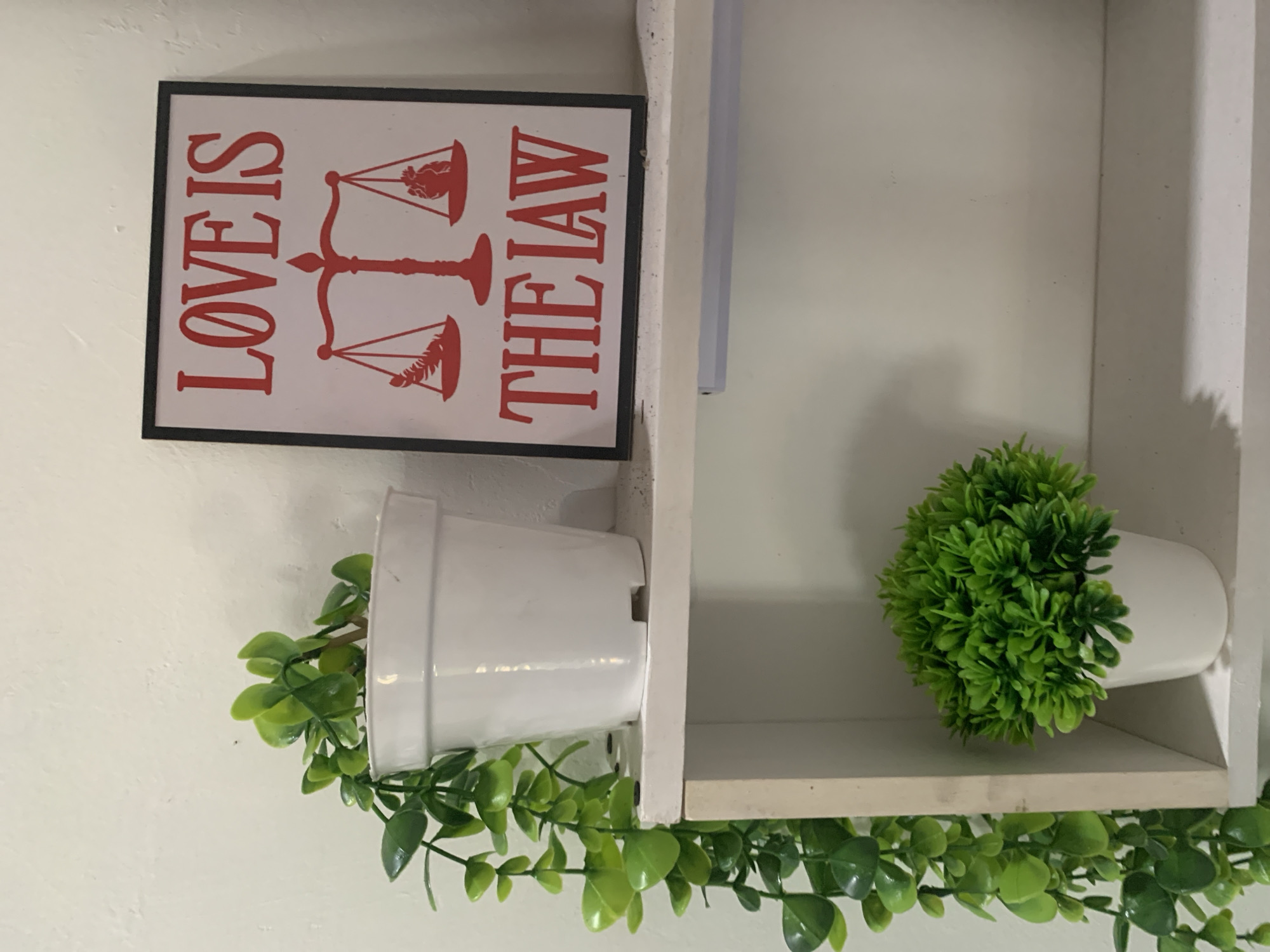 A framed artwork with the text "LOVE IS THE LAW" and a red illustration of a scale of justice hangs on a white wall. The artwork is positioned on a white shelf, next to a white pot containing a trailing artificial green plant. Below this shelf, another white shelf holds a small white pot with a bushy artificial green plant. The overall scene is of a decorative shelf display in a room.