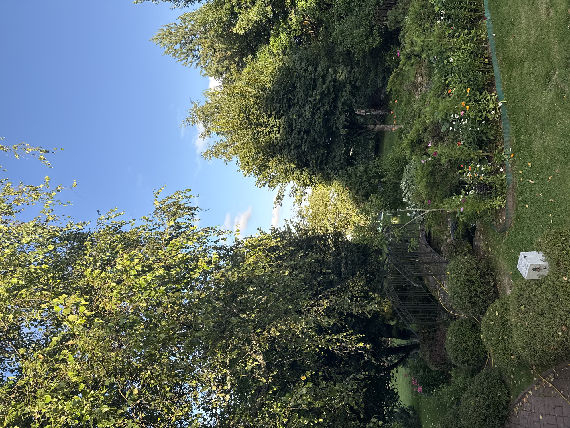 The image depicts a serene garden scene in Yukki, Russia, bathed in the warm light of a clear, blue sky with scattered white clouds. Dominating the left side of the frame is a large, leafy tree, its branches casting dappled shadows across the meticulously maintained lawn. In the center, a charming arched footbridge, constructed of dark metal and stone, spans a small, trickling stream. Lush green bushes and a vibrant array of colorful flowers – including white, pink, and orange varieties – are artfully arranged around the bridge and along the garden's edge. The foreground features a pathway paved with reddish-brown bricks, and a bright yellow hose snakes its way across the grass, suggesting recent watering. A small, grey concrete structure with visible components rests on the lawn near the path. The background is filled with dense greenery, comprised of various trees and shrubs, creating a sense of depth and natural beauty. The overall impression is one of a well-kept, tranquil outdoor space.