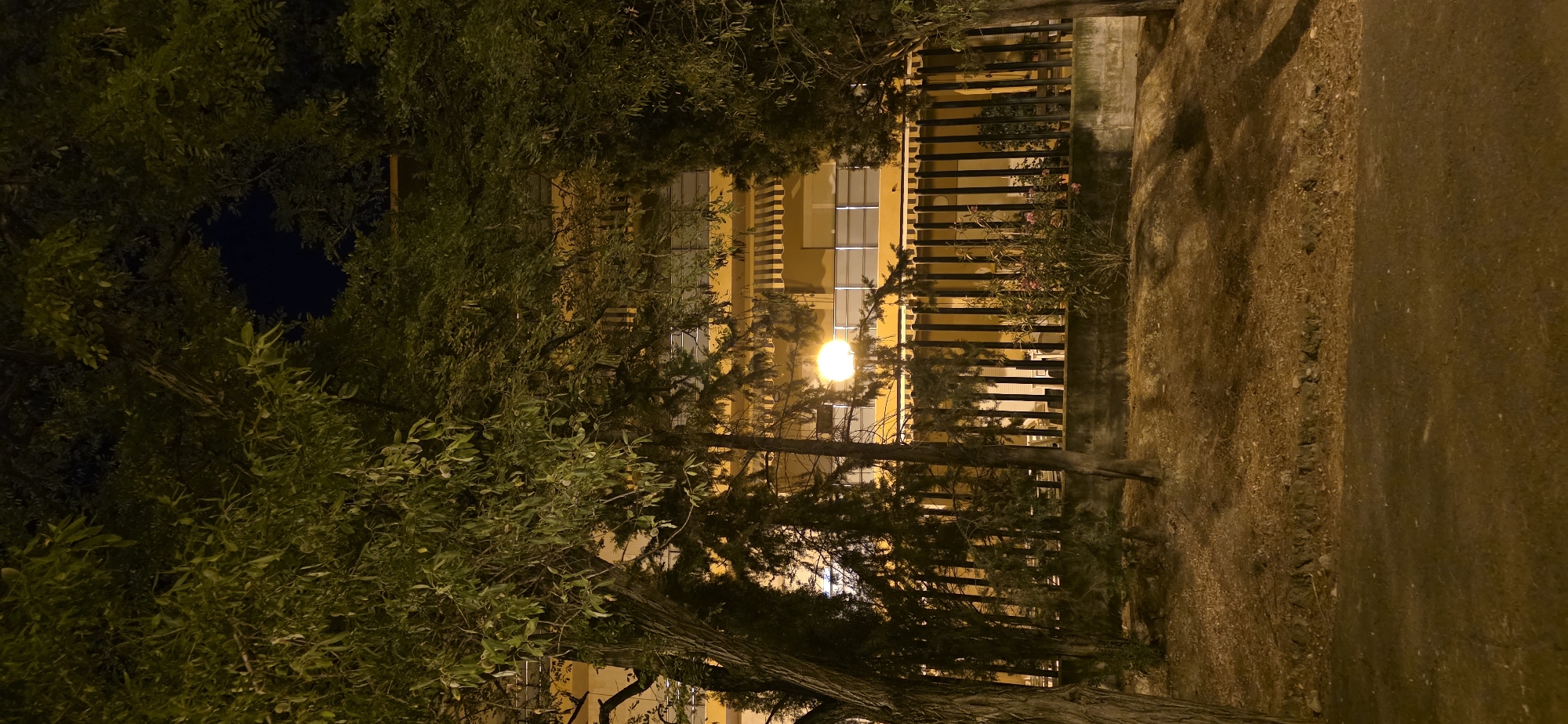 The image depicts a nighttime scene in Huesca, Spain, likely a residential area. In the foreground, a paved surface, possibly a sidewalk or road, is visible. Beyond this, a dry, leaf-strewn embankment leads up to a black metal fence. Behind the fence, a low concrete wall borders a planted area. Several trees, including a large-branched deciduous tree on the left and several coniferous trees, are prominent throughout the image, their leaves illuminated by artificial light. Behind the fence and planted area, a building with a yellow facade and balconies is visible. A bright, spherical light fixture, possibly a streetlamp, is positioned behind the fence, casting a warm glow. The overall impression is one of a quiet, possibly suburban or urban residential area at night, with ample greenery. There are no people or animals visible in the frame.