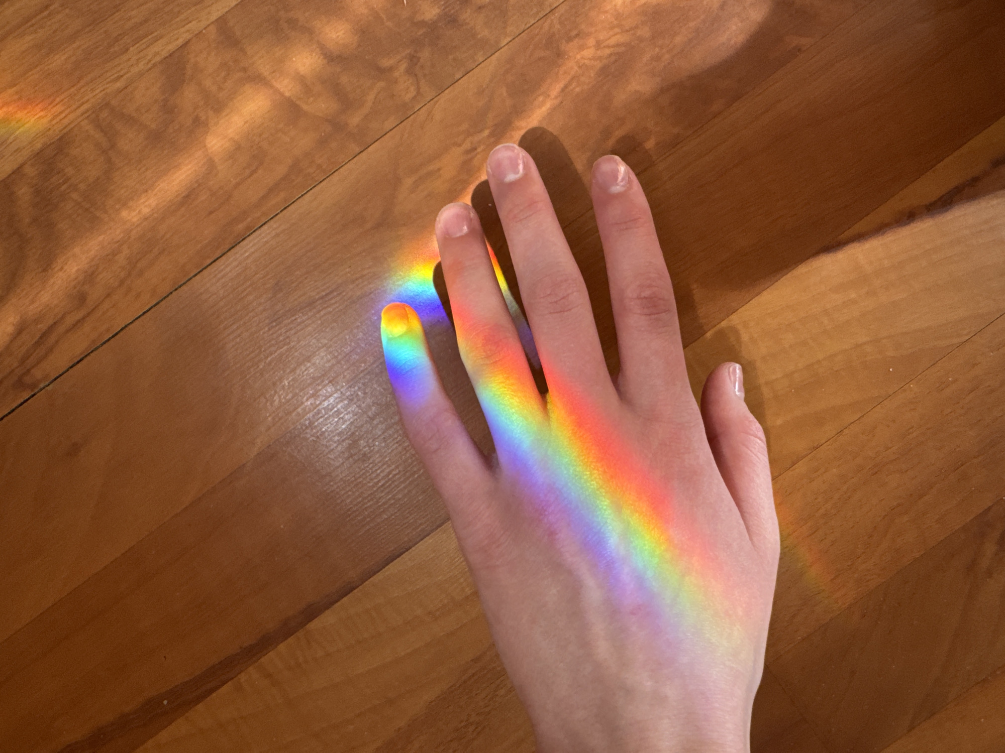 A high-angle shot depicts a person's hand illuminated by a rainbow prism on a wooden floor. The hand is pale, with visible finger nails. The rainbow, with clearly delineated color bands, spans the length of the hand from fingertip to wrist. The floor is made of light-brown wooden planks arranged diagonally, with varying shades of reflected light creating contrast. There is no indication this image was taken in Chaikovsky, Russia.