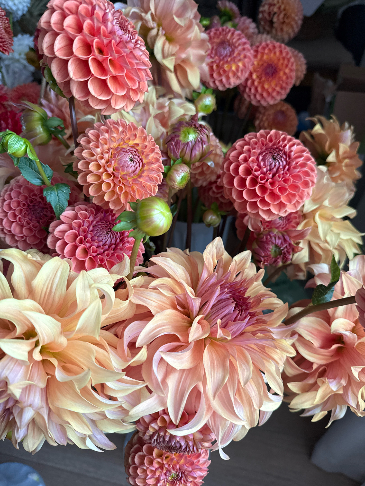 A bouquet of dahlias in various shades of pink, coral, and yellow is displayed. The flowers have intricate, layered petals and some are tightly budded. The bouquet is arranged in what appears to be a vase or container, and the background is blurred, suggesting an indoor setting. There is no indication of the city of Pushkino, Russia, or any specific location within it. The image focuses solely on the floral arrangement.