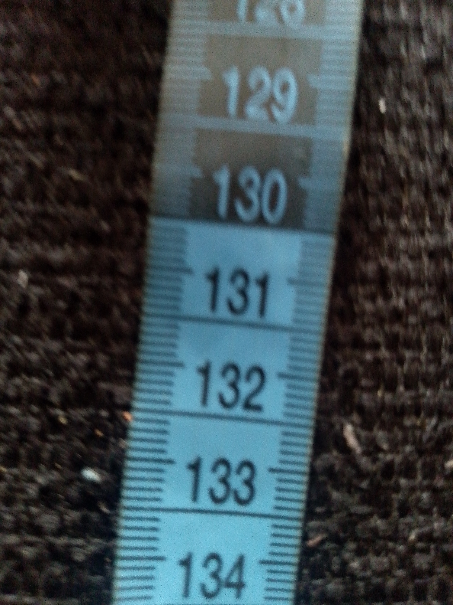 The image is a close-up shot of a blue measuring tape with black numerical markings. The markings visible are 129, 130, 131, 132, 133, and 134. Each number is positioned next to a horizontal line, with smaller tick marks indicating increments between the numbered lines. The background is a dark, textured surface, possibly fabric or carpet. The image does not contain any information or visual cues that would allow for identification of a specific city or location, such as Jauro Yinu, Nigeria. There are no people, actions, or interactions depicted in the image.