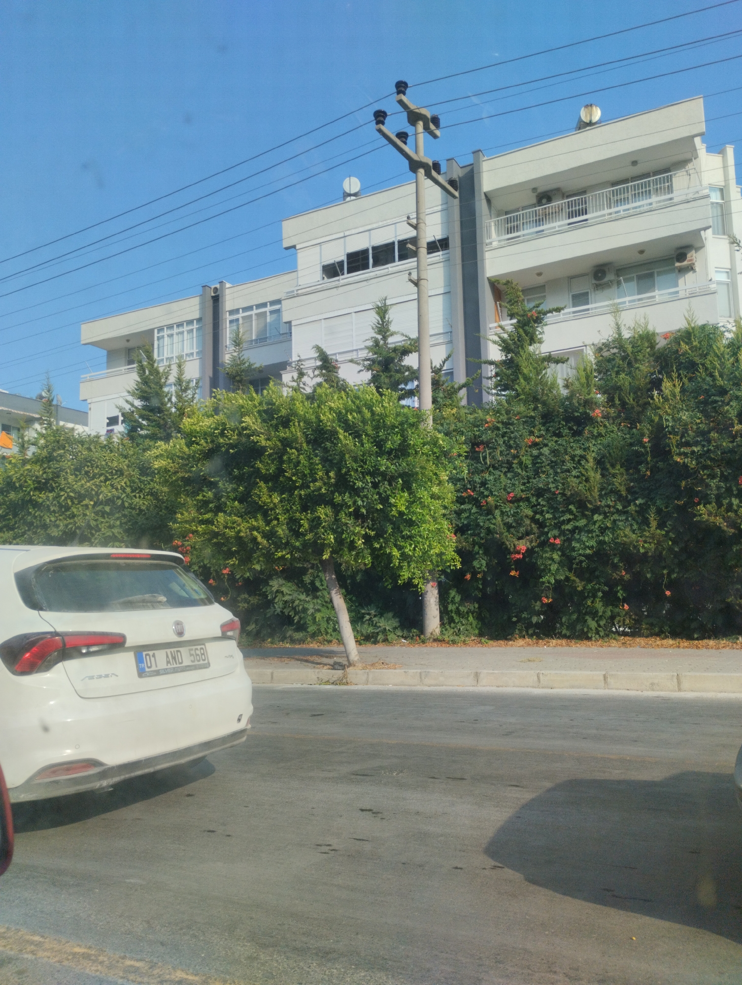The image depicts a street scene in Mezitli, Turkey, under a clear blue sky. In the foreground, the rear of a white Fiat vehicle is visible, parked on an asphalt road. The vehicle has a license plate displaying "01 AND 568". A sidewalk runs along the road, bordered by a dense hedge with scattered red flowers and green foliage. Behind the hedge, a multi-story white apartment building with balconies and numerous windows is situated. A concrete utility pole with multiple crossarms and ceramic insulators stands to the left of the building, supporting overhead power lines that crisscross the sky. The building appears to be modern, with clean lines and a light-colored facade. Trees and greenery are abundant, suggesting a well-maintained urban environment. The overall impression is that of a typical residential street in a sunny, Mediterranean climate.