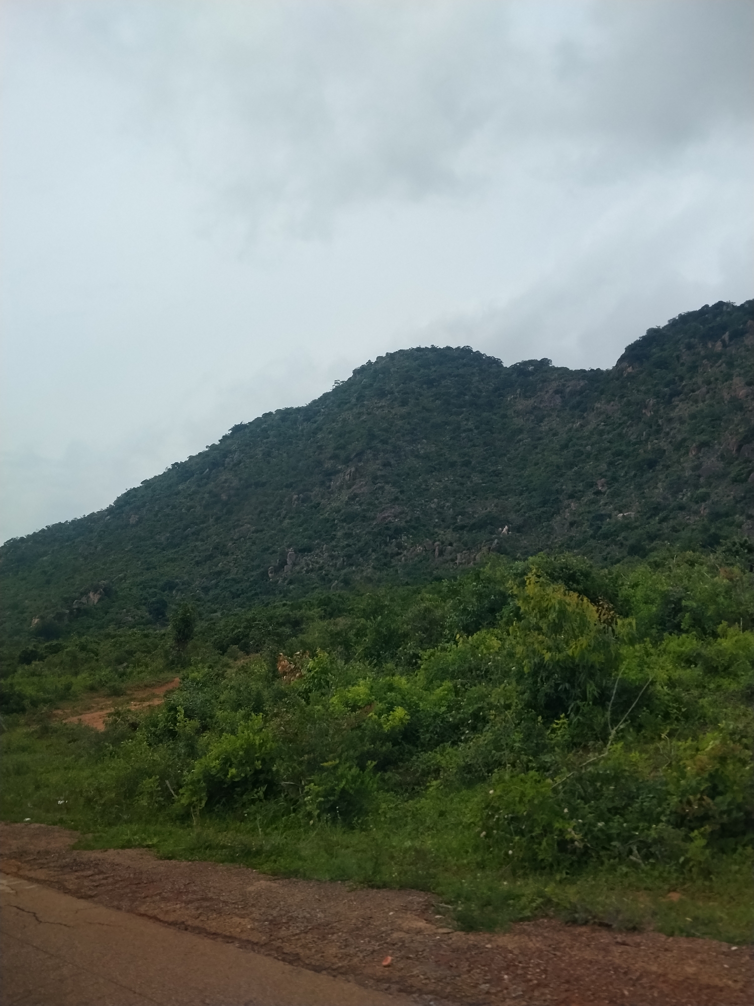 The image depicts a large, tree-covered mountain range under a cloudy sky. In the foreground, a rough, brown dirt road curves from the left edge of the frame into the distance. The mountain slopes are densely covered in various shades of green foliage, with visible rock formations scattered across the terrain. The sky is overcast with thick, gray clouds. The scene appears to be a natural landscape, likely in a rural area near Dorowa, Nigeria. There are no people or any discernible structures visible in the image.