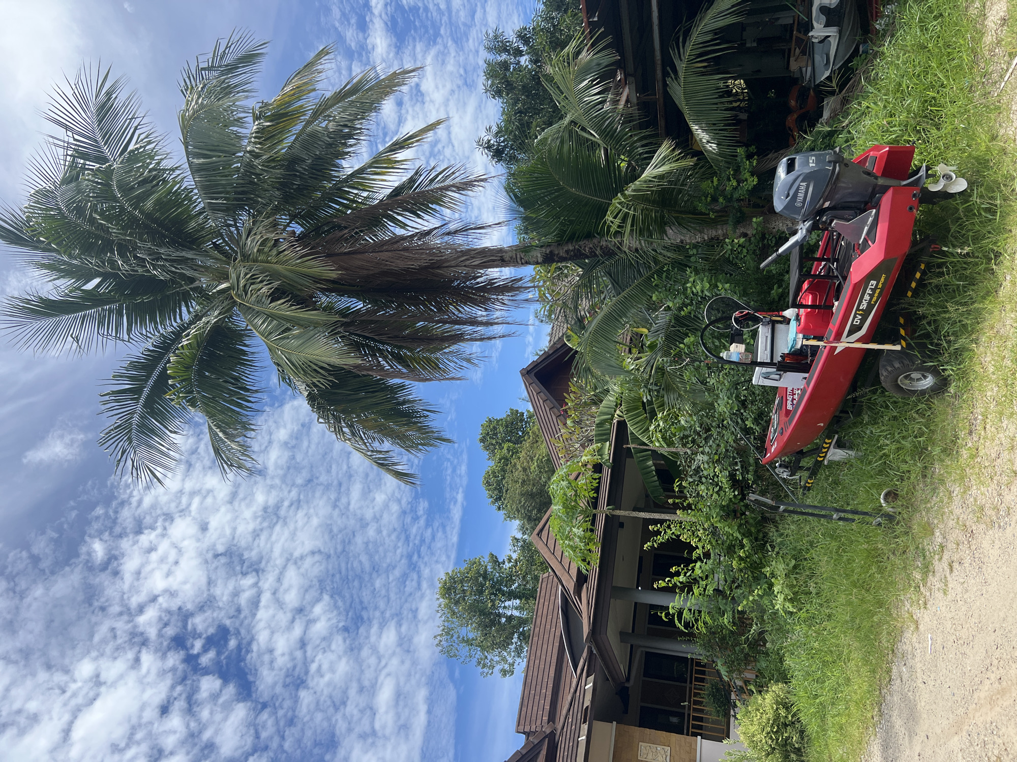 In Choeng Thale, Thailand, a red boat sits on a trailer amidst overgrown green grass on a dirt path. The boat has a Yamaha outboard motor and visible text that reads "DV SKIFF13 FISHING SPORT." Behind the boat, lush vegetation and trees surround buildings with brown tiled roofs. A tall palm tree with green fronds stands prominently in the foreground, reaching towards a bright blue sky dotted with white, wispy clouds. The scene depicts a tropical, outdoor environment with a clear, sunny day.