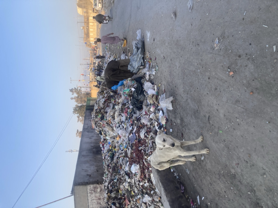 This image depicts an outdoor street scene in Quetta City Tehsil, Pakistan, characterized by a substantial accumulation of refuse. In the immediate foreground, a lean, light-colored dog stands on a dusty, unpaved section of road, facing slightly towards the viewer's right. To the dog's left, a large, irregularly shaped mound of mixed waste, composed of plastic bags, organic debris, and various discarded items, rises behind a low concrete curb.
An individual, dressed in dark, possibly brown, layered clothing, is positioned at the base of this refuse pile, actively bent over and sifting through its contents. Further along the road, in the mid-ground, multiple human figures are present: one person walks away from the camera in light-colored attire, and two individuals are operating motorcycles. The background reveals low-rise buildings, utility poles with overhead power lines, sparse vegetation including trees, and distant hills under a clear, light blue sky. The scene is illuminated by natural daylight.