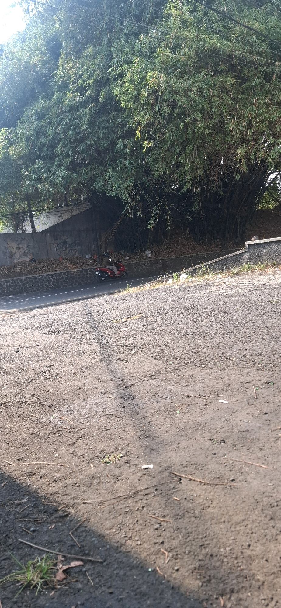 In Cilaku, Indonesia, a red scooter with a rider wearing a brown jacket and helmet travels along a paved road bordered by a stone wall. Behind the wall, a dense stand of tall bamboo trees creates a dark, shaded backdrop. The ground in the foreground is unpaved and dusty, with scattered debris including twigs and cigarette butts. A concrete retaining wall with graffiti is visible along the side of the road. The lighting suggests it is daytime, possibly late afternoon, given the shadows cast.