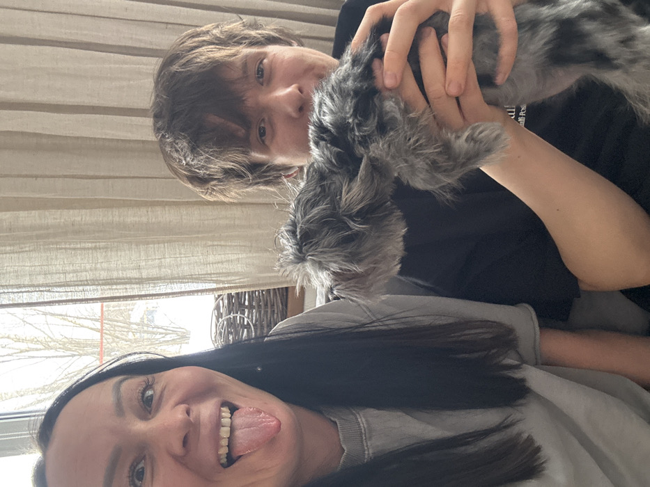 The image depicts an indoor scene in Chaikovsky, Russia, featuring two individuals and a dog. On the left, an adult female with long dark hair, wearing a light grey t-shirt, faces the camera with wide eyes and her tongue extended. To her right, a male youth or young adult with brown, shaggy hair, dressed in a dark t-shirt, holds a small, shaggy grey and black dog with both hands. The male youth is partially obscured by the dog but is visibly smiling. The dog's head is turned to the left. In the background, a window reveals an outdoor environment covered in snow with bare trees visible. Light-colored fabric curtains are drawn across part of the window on the right, and a wicker object is partially visible on the left side of the window. The overall scene suggests a casual, indoor setting during winter.