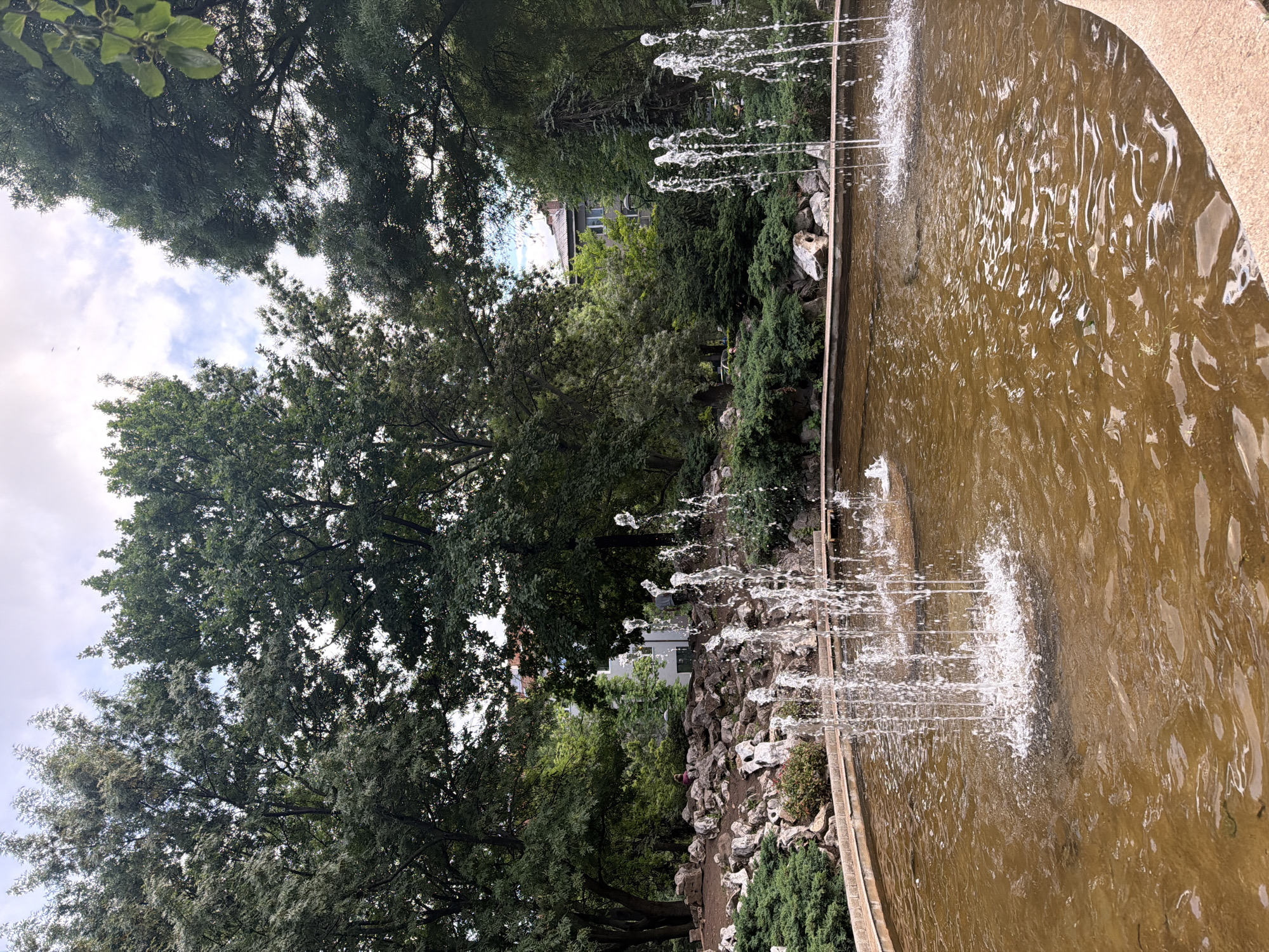 The image, originally captured in landscape orientation but presented rotated 90 degrees counter-clockwise, depicts a serene park scene in Sofia, Bulgaria. On the right side of the frame, a long, rectangular fountain is actively spraying water upwards from multiple jets, creating white splashes and ripples on the brownish-tinted water surface. The fountain is bordered by a light-colored concrete or stone edge.
Immediately adjacent to the fountain, a landscaped area features an arrangement of various rocks and low-lying green shrubs. To the left and in the background, numerous mature trees with dense green foliage dominate the view, creating a lush environment. Through the gaps in the tree canopy, a bright, partly cloudy sky with scattered white clouds is visible, indicating a daytime setting, likely morning or afternoon. In the mid-ground, partially obscured by the trees and shrubs, parts of a light-colored building with windows can be seen, suggesting an urban or residential area bordering the park. No people are clearly visible in the scene, and there is no discernible text. The overall atmosphere conveys a sense of tranquility in a verdant public space.