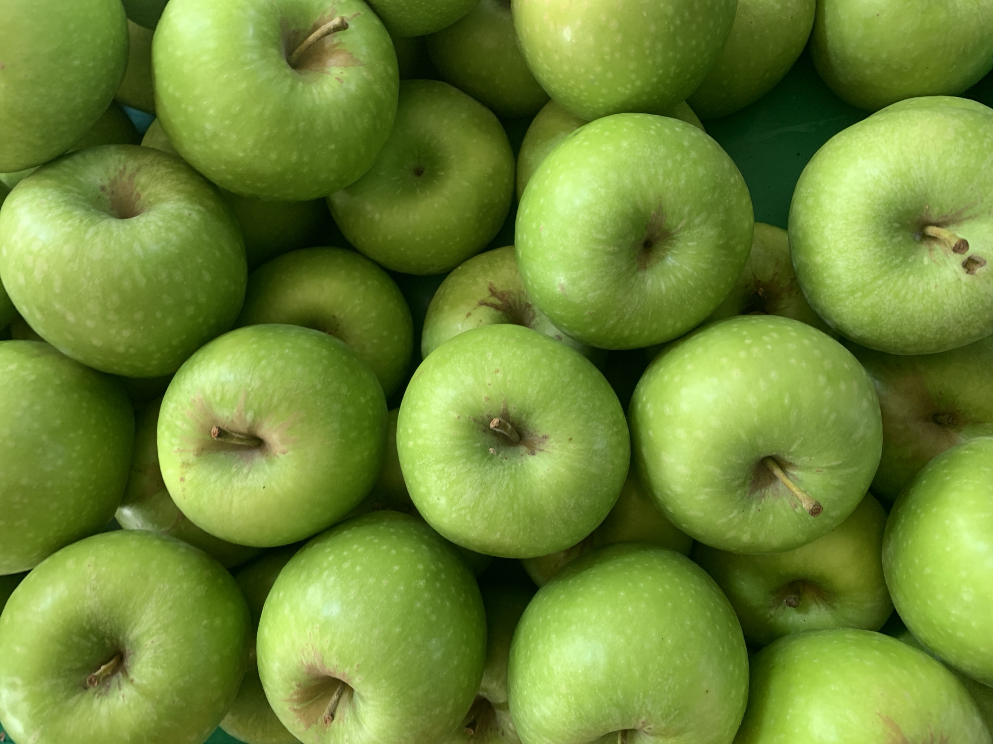 A close-up, top-down view captures a pile of bright green apples. The apples are densely packed together, with most of their surfaces visible. Their skins are smooth with a few lighter speckles. The stem ends of several apples are visible, some with short brown stems. The overall impression is of fresh, healthy fruit ready for consumption. The background is a uniform dark green, suggesting a market stall or display.