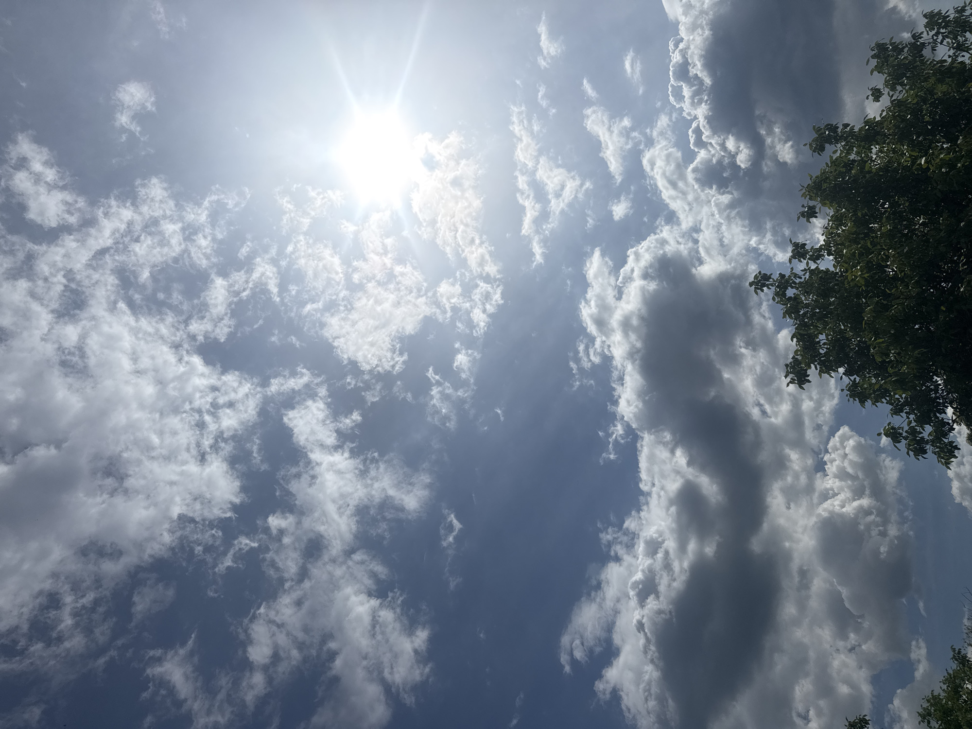 The image is a low-angle shot of a sky filled with clouds, likely taken during the daytime. The sun is visible in the upper left corner, radiating light and creating a lens flare effect. The clouds are a mix of thin, wispy cirrus clouds and larger, more defined cumulus clouds. Some of the clouds are white and bright, while others are gray and darker. In the lower right corner, the leaves of a tree are visible. The image location is not identifiable as Sarnevo, Bulgaria.