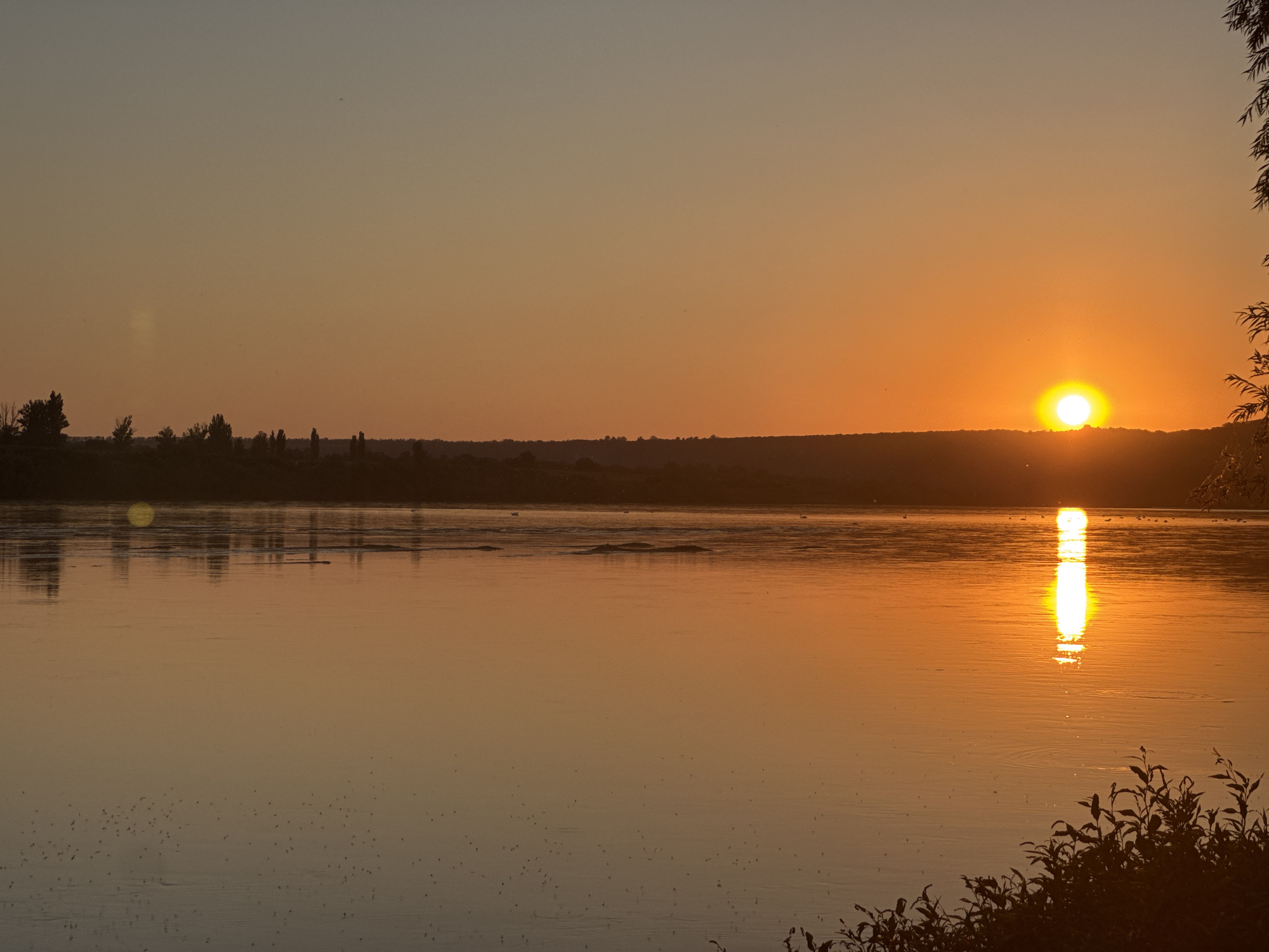 This is a horizontal, eye-level photograph of a sunset over a body of water. The sun, a bright orange orb, is positioned on the right side of the image, partially obscured by a distant, dark horizon line that appears to be a treeline. The sky above is a gradient of pale orange to a light blue-grey at the top of the frame.
The water in the foreground reflects the vibrant orange of the sunset, creating a bright, shimmering path of light directly below the sun. Small, dark specks, likely insects or small birds, are scattered across the surface of the water. In the lower right corner, the dark silhouettes of plants and branches are visible, adding depth to the foreground. The overall mood is serene and peaceful.
This scene is located in the city of Grushka, Moldova.