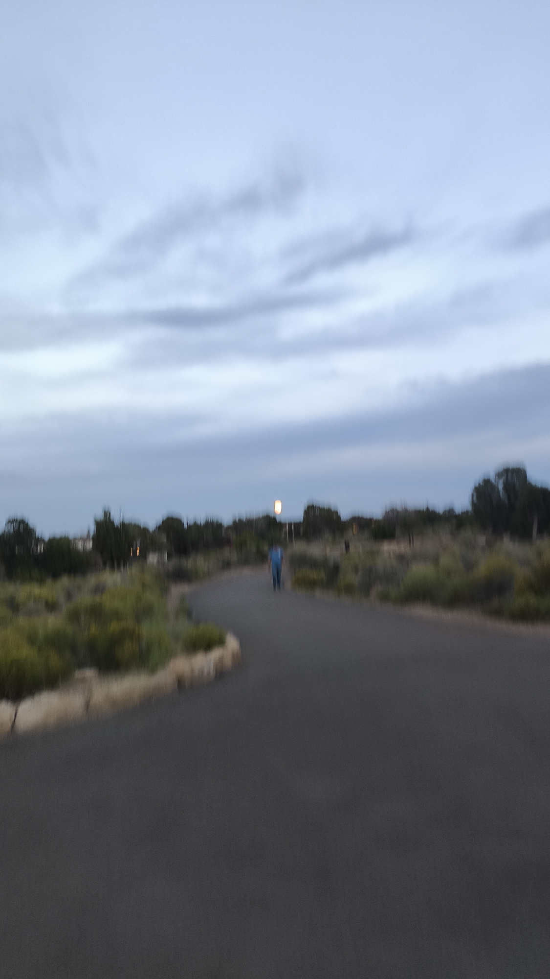 An out-of-focus, full-shot photograph captures a paved path winding through a semi-arid landscape under a cloudy sky. A solitary figure, wearing blue clothing, is visible walking away from the camera on the path. The environment features sparse vegetation, including bushes and grasses, with trees and structures in the background. A streetlamp is illuminated in the distance. The scene appears to be in a park or residential area.