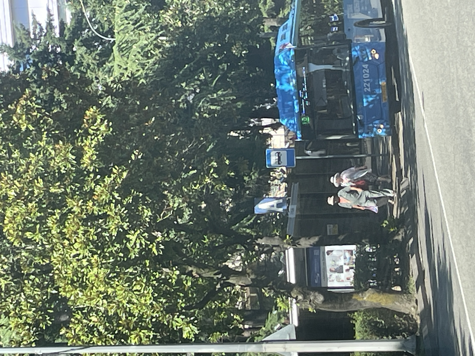 A bright blue public transit bus with the number "221024" displayed on its front is stopped at a bus stop. Two individuals, a man and a woman, both wearing hats, are walking away from the bus stop. The man is carrying a reusable shopping bag. The bus stop itself is covered by a shelter and features an informational display. Trees with dense green foliage overhang the scene, and a portion of a building is visible in the background. The road surface is asphalt, with white lane markings. This scene appears to be in Sochi, Russia, based on the bus livery and general urban/suburban setting often found in the city.