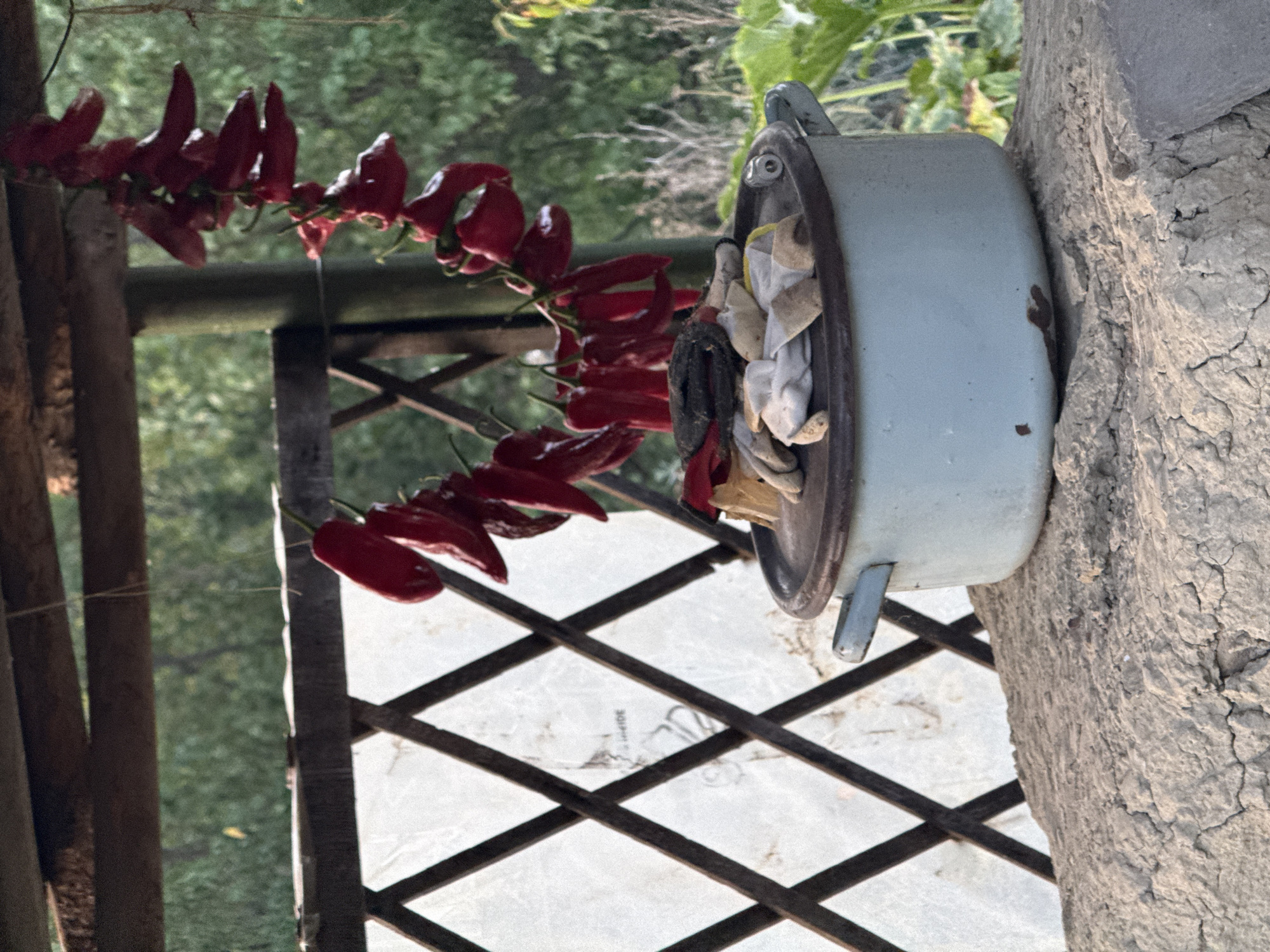 This image depicts an outdoor scene, likely a rural setting in Slavyani, Bulgaria. In the foreground, a light blue enamel pot with a darker rim sits on a textured, rough surface, possibly a stone or clay structure. The pot's lid is partially open, revealing a pile of gardening gloves of various colors, predominantly white and tan, and a dark, elongated object, possibly a tool. Above the pot, a string of bright red chili peppers hangs, suspended by a thin wire from a wooden structure that forms a roof or canopy. The background shows a lattice-like wooden fence with white material behind it, and further back, lush green foliage from trees and plants. The overall impression is one of rustic storage or preparation of produce in an outdoor environment.