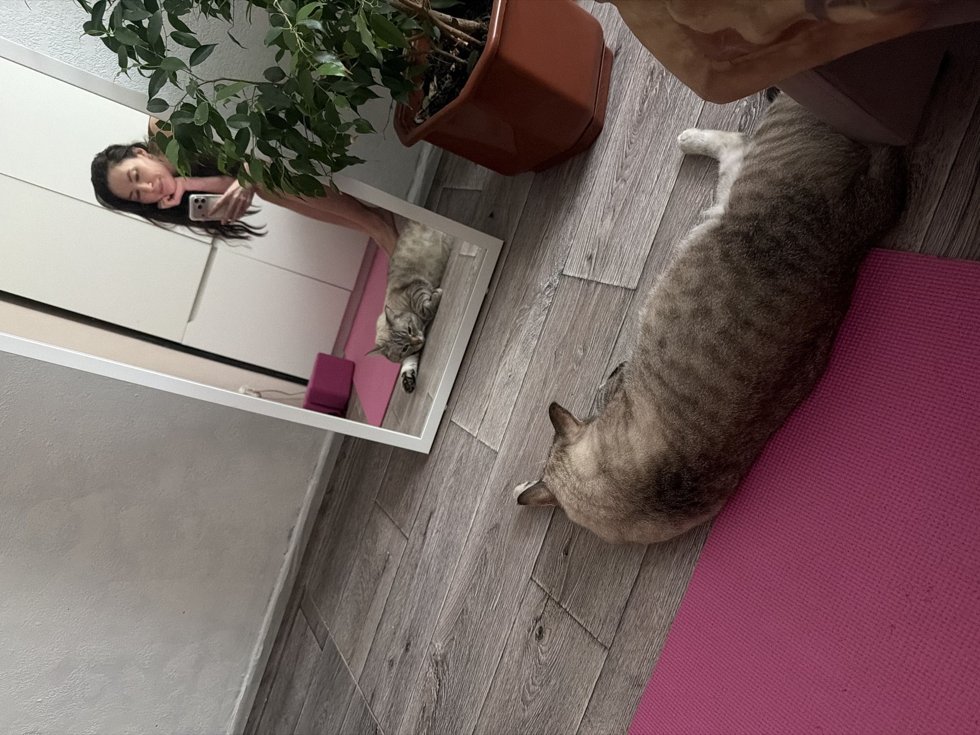 A woman takes a picture of herself in a mirror with a cell phone. The mirror is leaning against a white wardrobe and reflecting the woman, a plant, a yoga block and the cat. The actual cat is lying on a pink yoga mat on the floor, next to the mirror, near a brown plant pot and next to light grey wood-patterned floor. The location is an apartment in Perm, Russia.