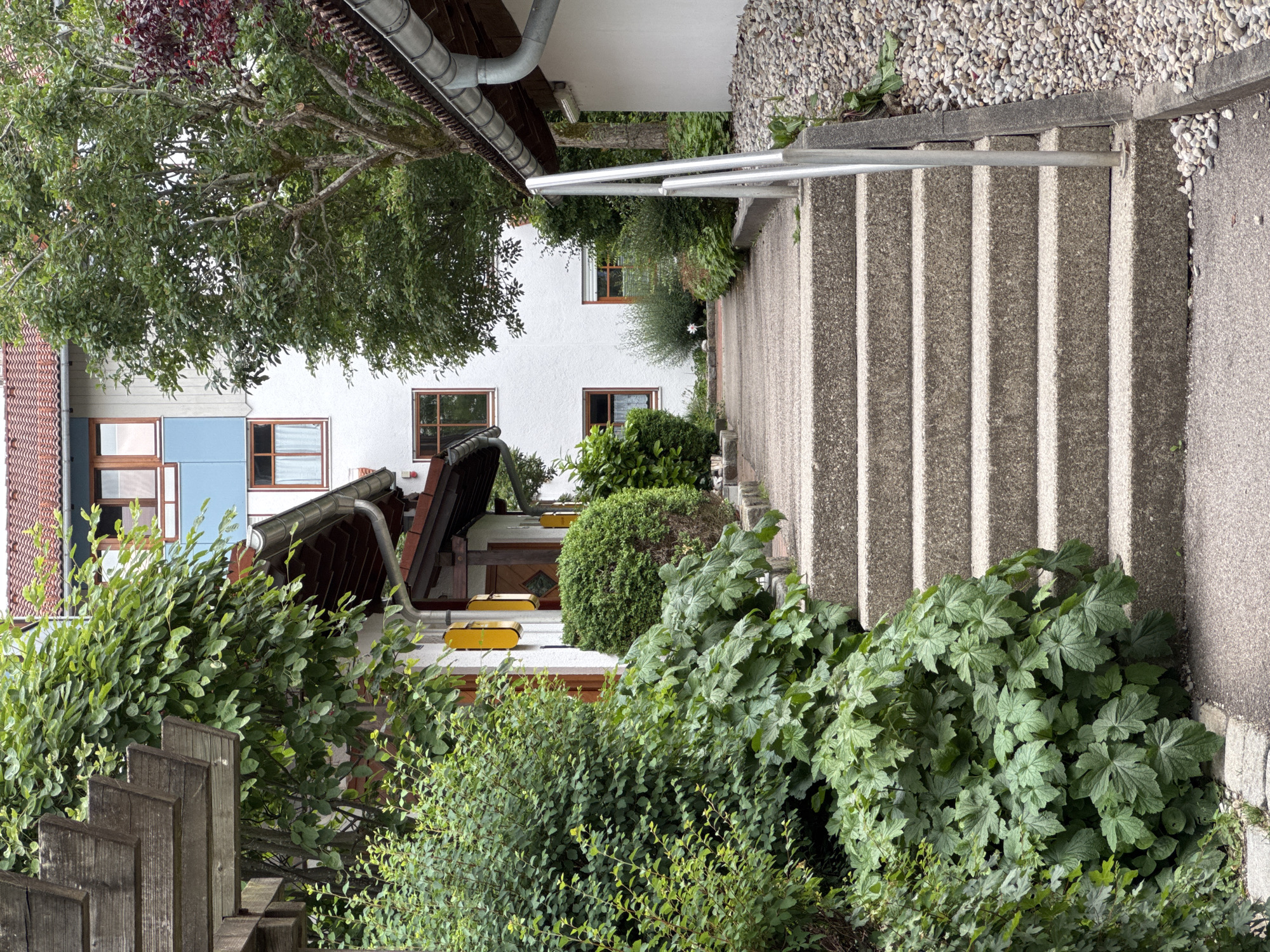 The image depicts an outdoor scene in Höhenkirchen-Siegertsbrunn, Germany, featuring a pathway leading up a series of concrete stairs. Lush green foliage, including bushes and trees, surrounds the pathway and stairs, partially obscuring a white building with red-tiled roofs and brown-framed windows. The building appears to be residential or commercial. A metal handrail runs alongside the stairs. To the right of the stairs, a gravel area is visible. The overall impression is one of a well-maintained, verdant outdoor space adjacent to a building.