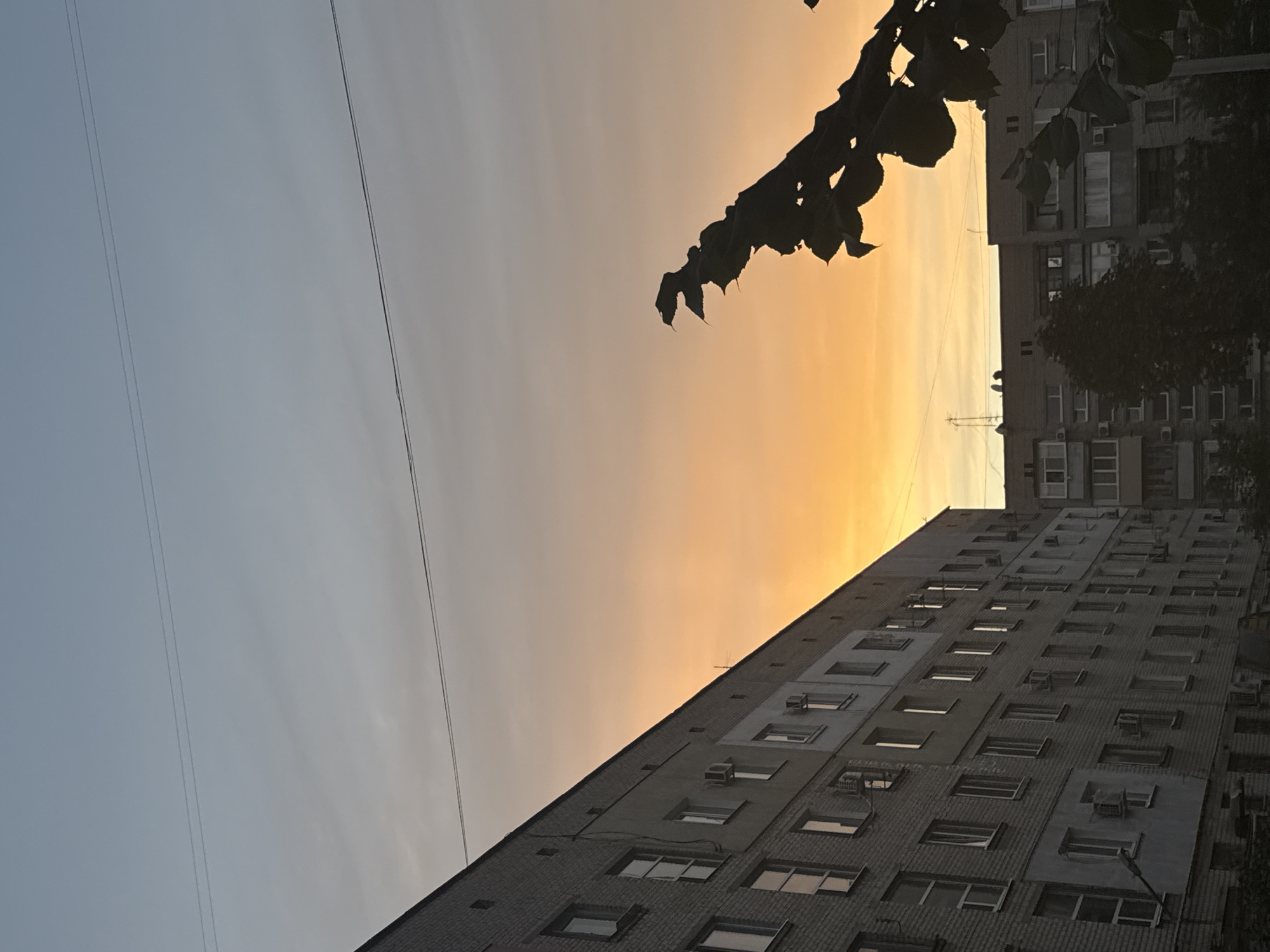 The image depicts a twilight scene in Zaporizhzhia, Ukraine. In the foreground, the silhouette of a leafy tree branch juts in from the right, its dark foliage contrasting with the warm hues of the sky. Behind the tree, a large, multi-story brick apartment building dominates the left side of the frame, its windows reflecting the fading light. To the right of this building, another apartment building, appearing slightly darker and of a different architectural style, is visible. Power lines stretch across the sky, creating a subtle linear pattern against the gradient of the sunset, which transitions from a soft blue at the top to a vibrant orange and yellow closer to the horizon. The overall impression is one of a residential urban environment at dusk.