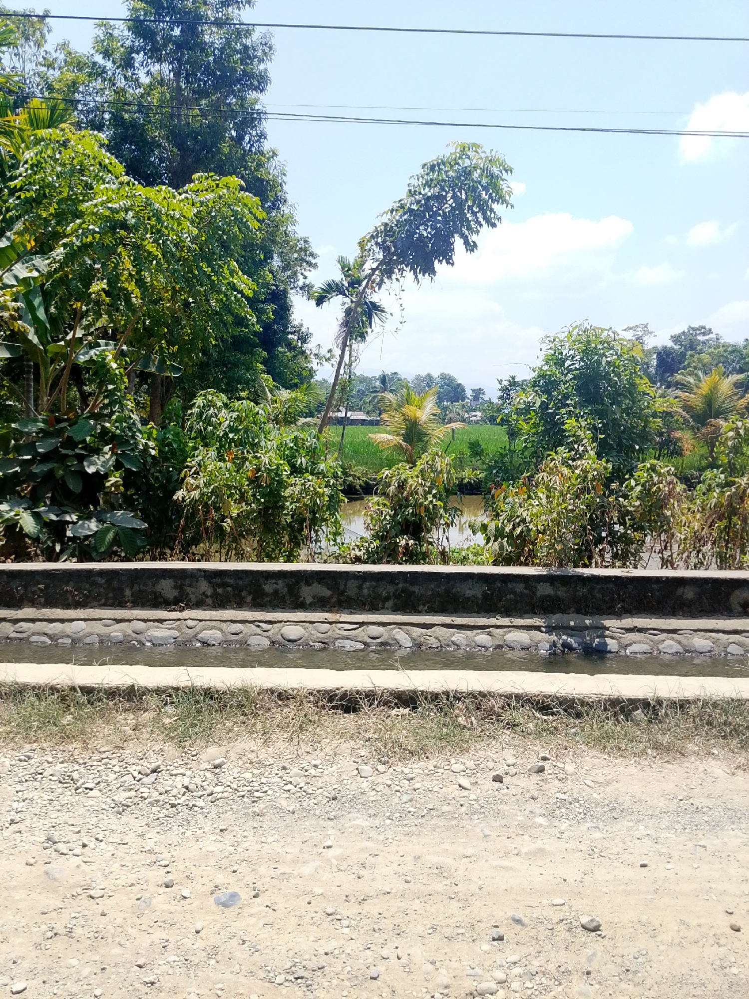 The image captures a rural scene in Se'pon, Indonesia, likely on a bright, sunny day. In the foreground, a dirt path with scattered pebbles leads towards a concrete channel filled with water. The channel is bordered by a stone-filled concrete structure above it. Beyond this, a lush green landscape unfolds with dense foliage, tall trees, and palm trees reaching towards a clear blue sky with scattered white clouds. In the middle ground, a body of water, possibly a canal or small river, reflects the greenery. In the background, a vibrant green field, likely a rice paddy, stretches out, with a few scattered buildings and more trees in the distance. Overhead, electrical wires are visible against the sky. The scene is dominated by natural elements and suggests a peaceful, agricultural setting. No people or animals are visible.